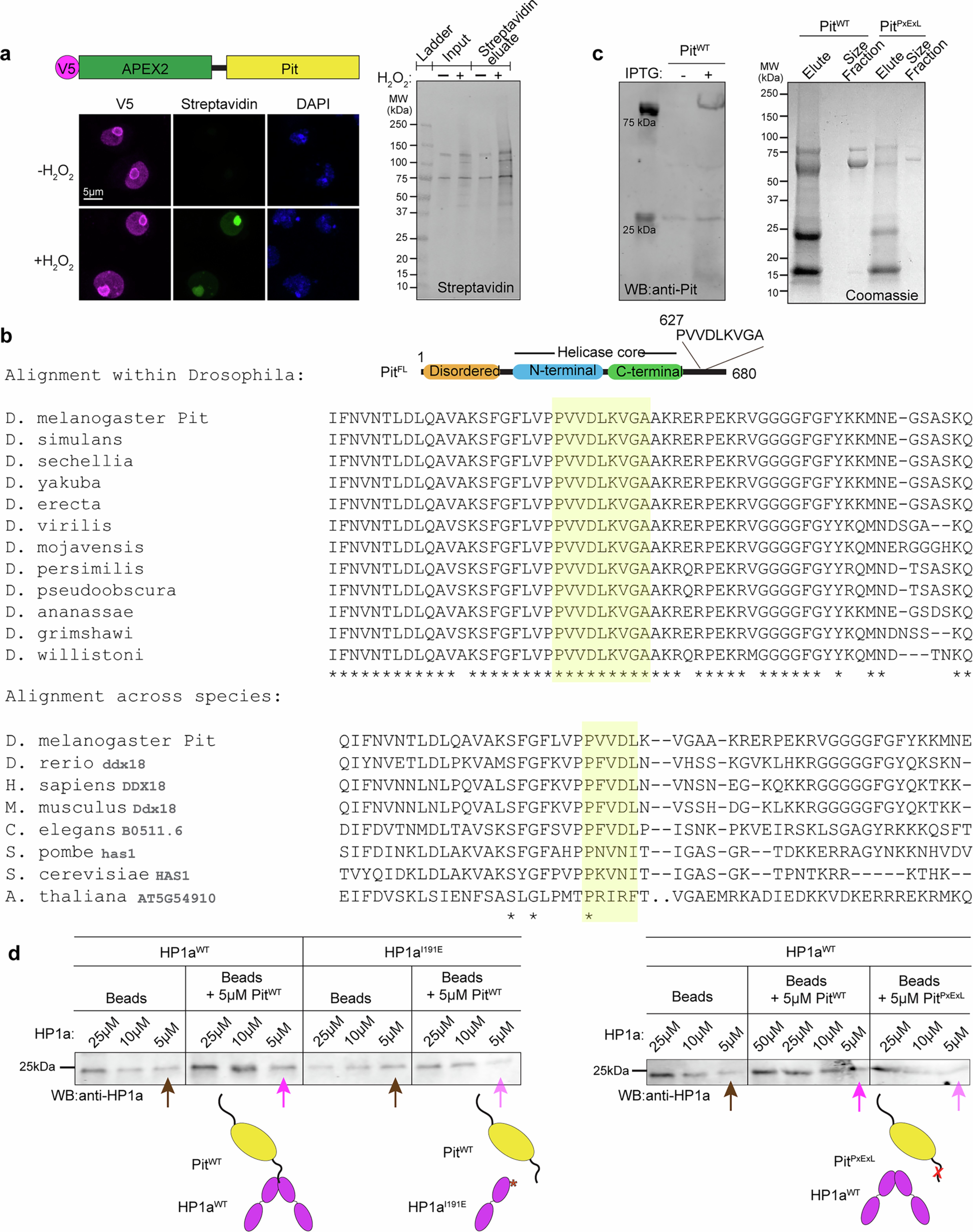 Extended Data Fig. 6