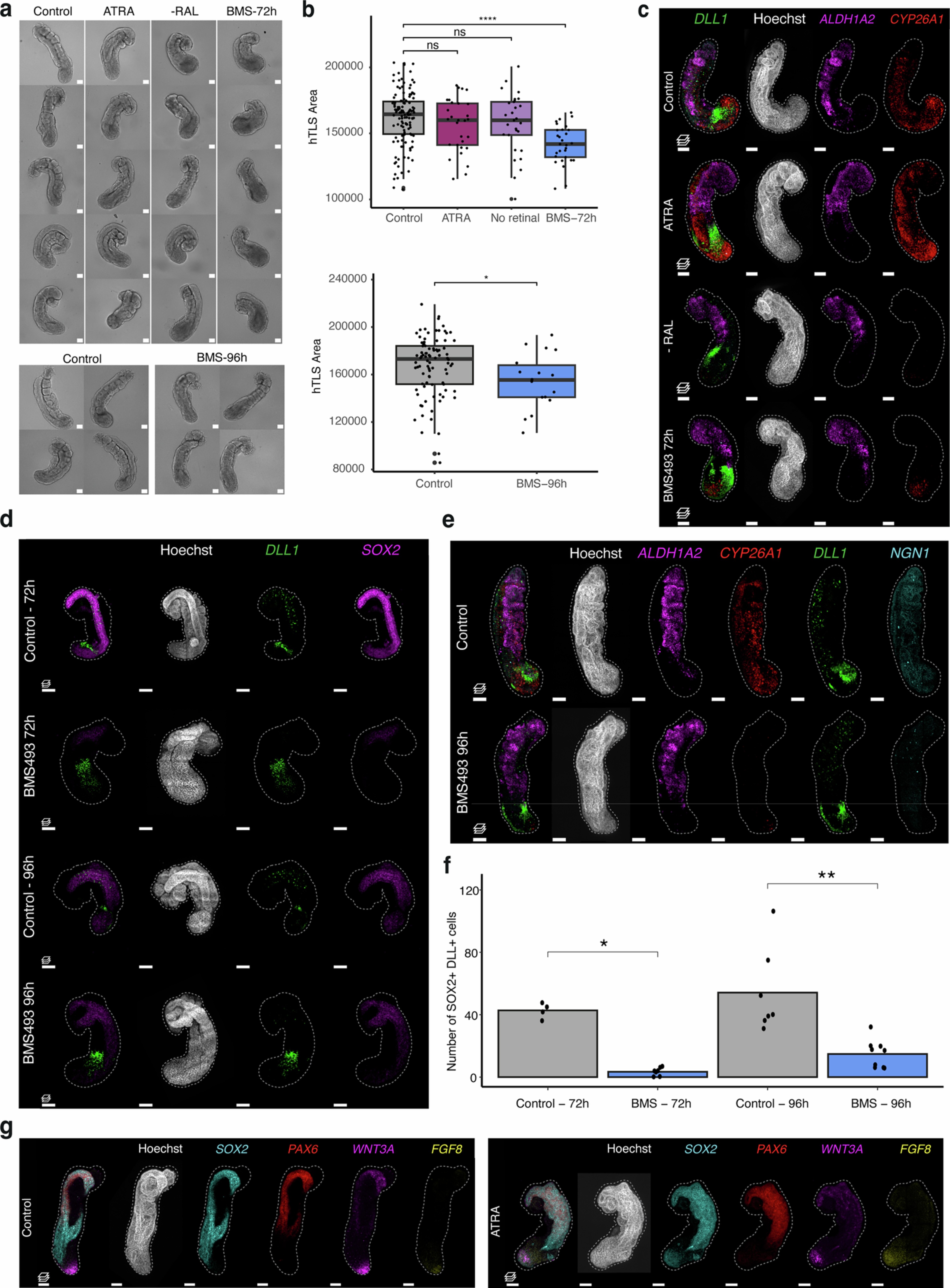 Extended Data Fig. 10