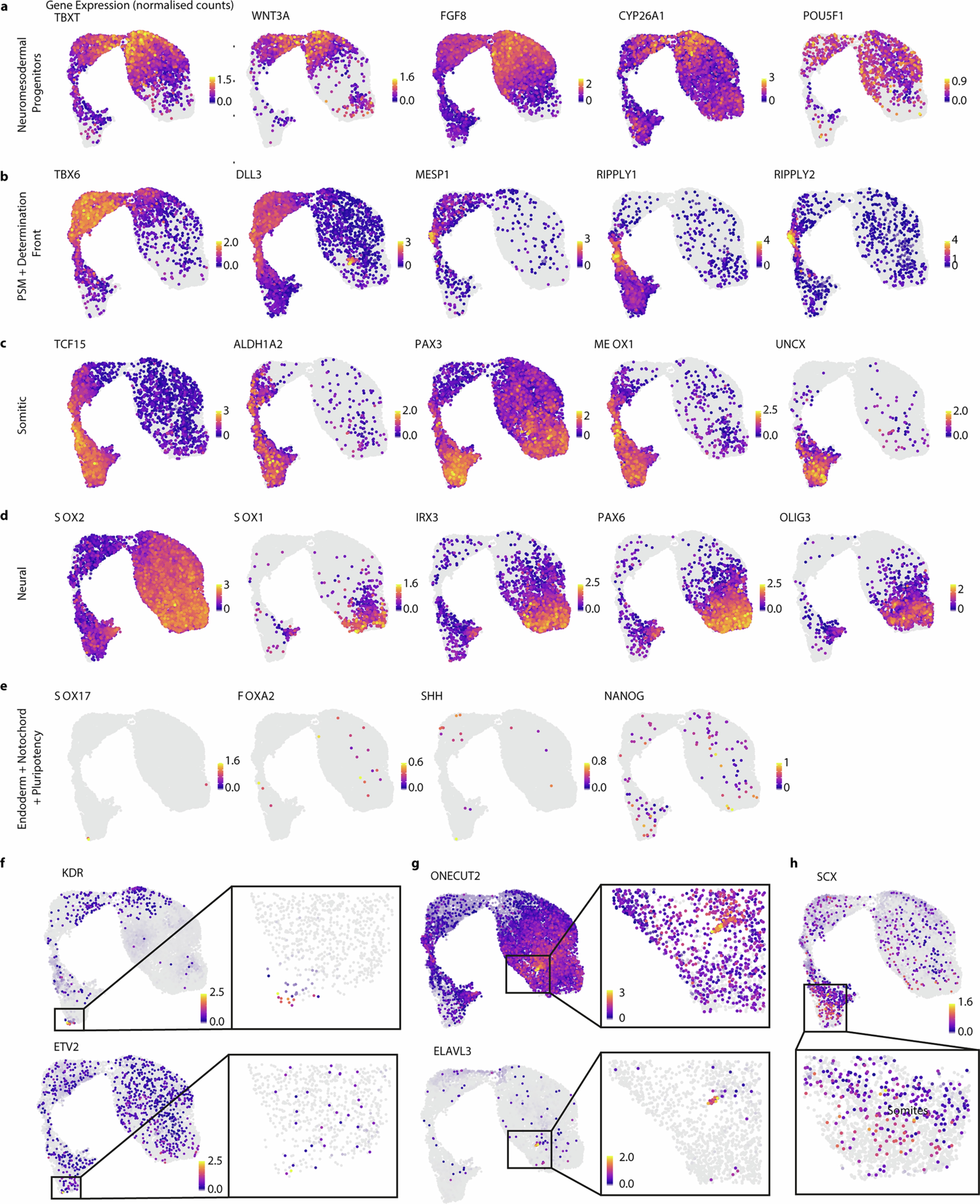 Extended Data Fig. 3