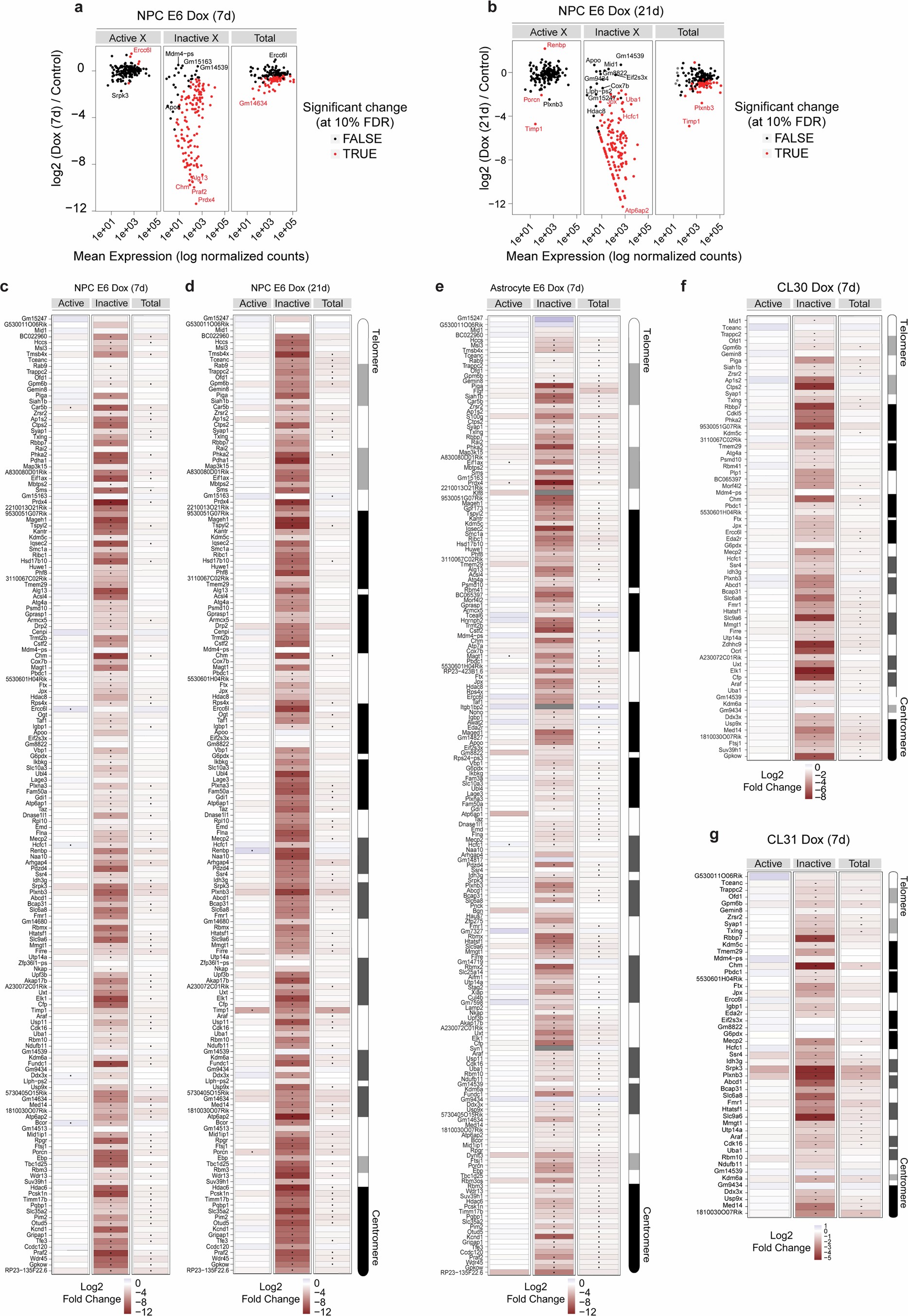 Extended Data Fig. 4: Allele-specific differential expression analysis of X-linked genes.