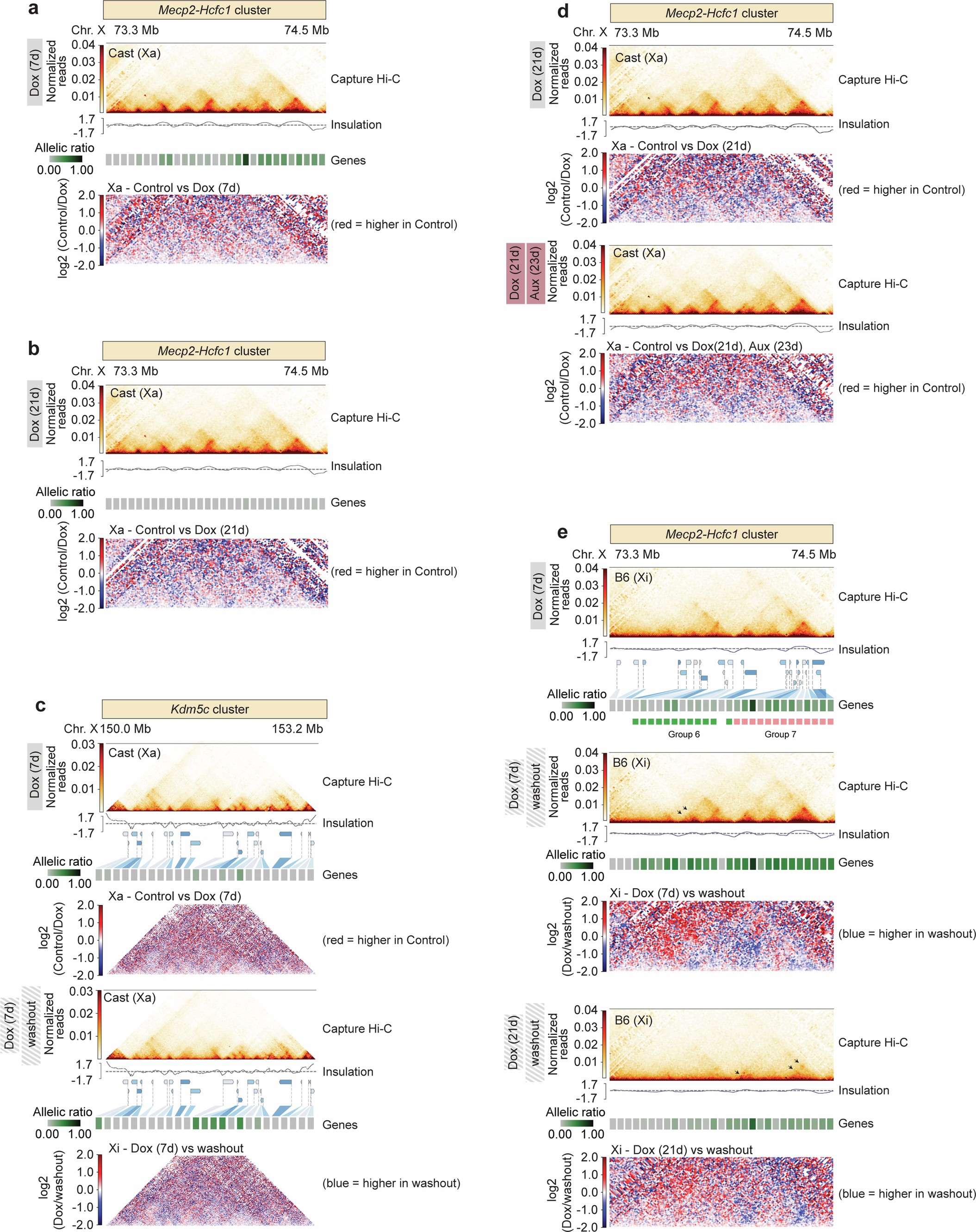 Extended Data Fig. 6: Changes in 3D topology at the Mecp2-Hcfc1 and Kdm5c clusters across different Dox treatment conditions.