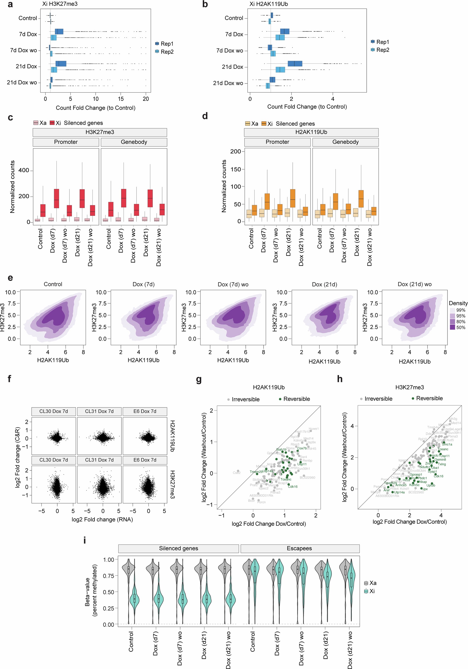 Extended Data Fig. 9: Histone CUT&RUN and DNA methylation analysis upon Dox treatment and washout.