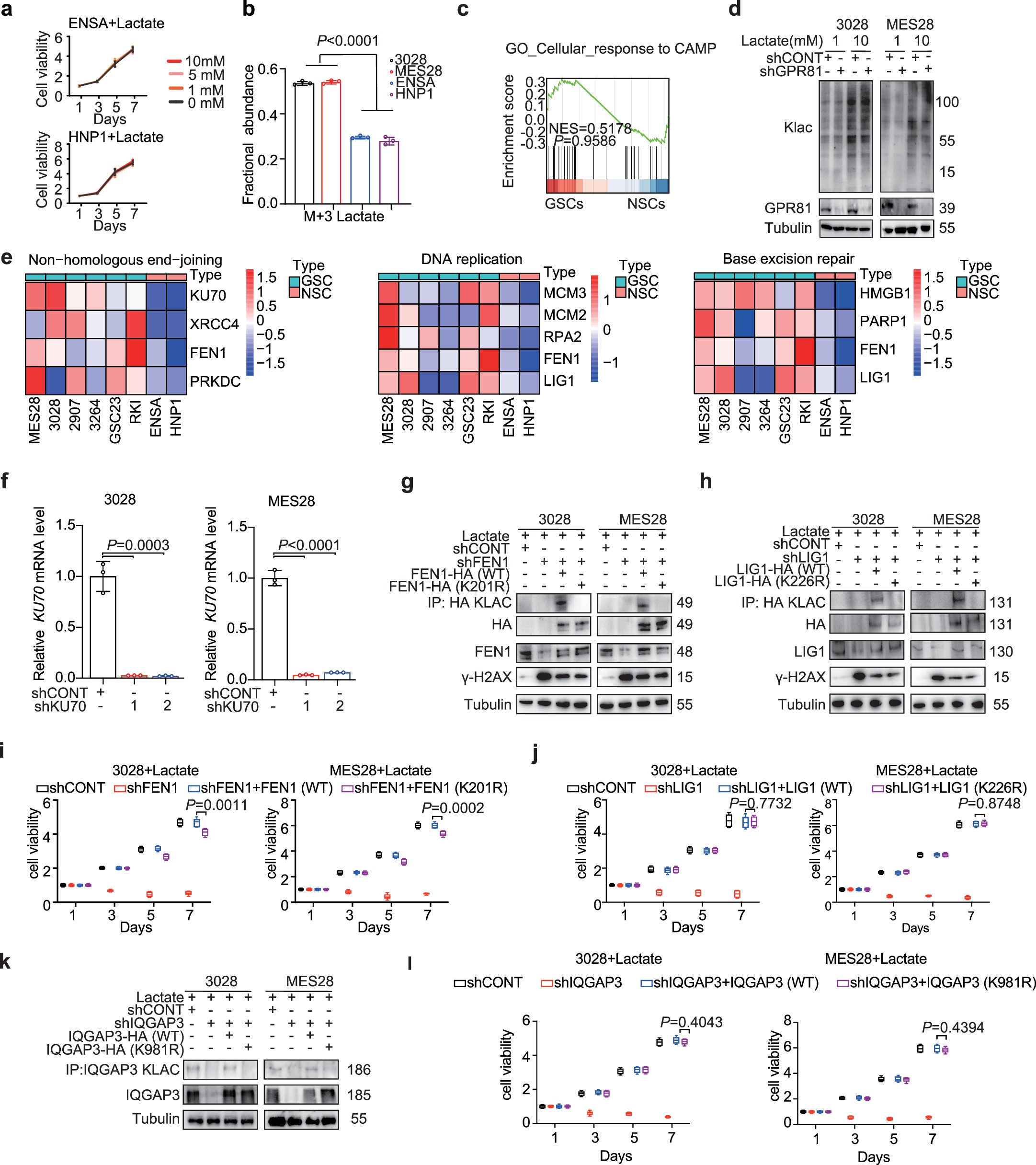 Extended Data Fig. 4