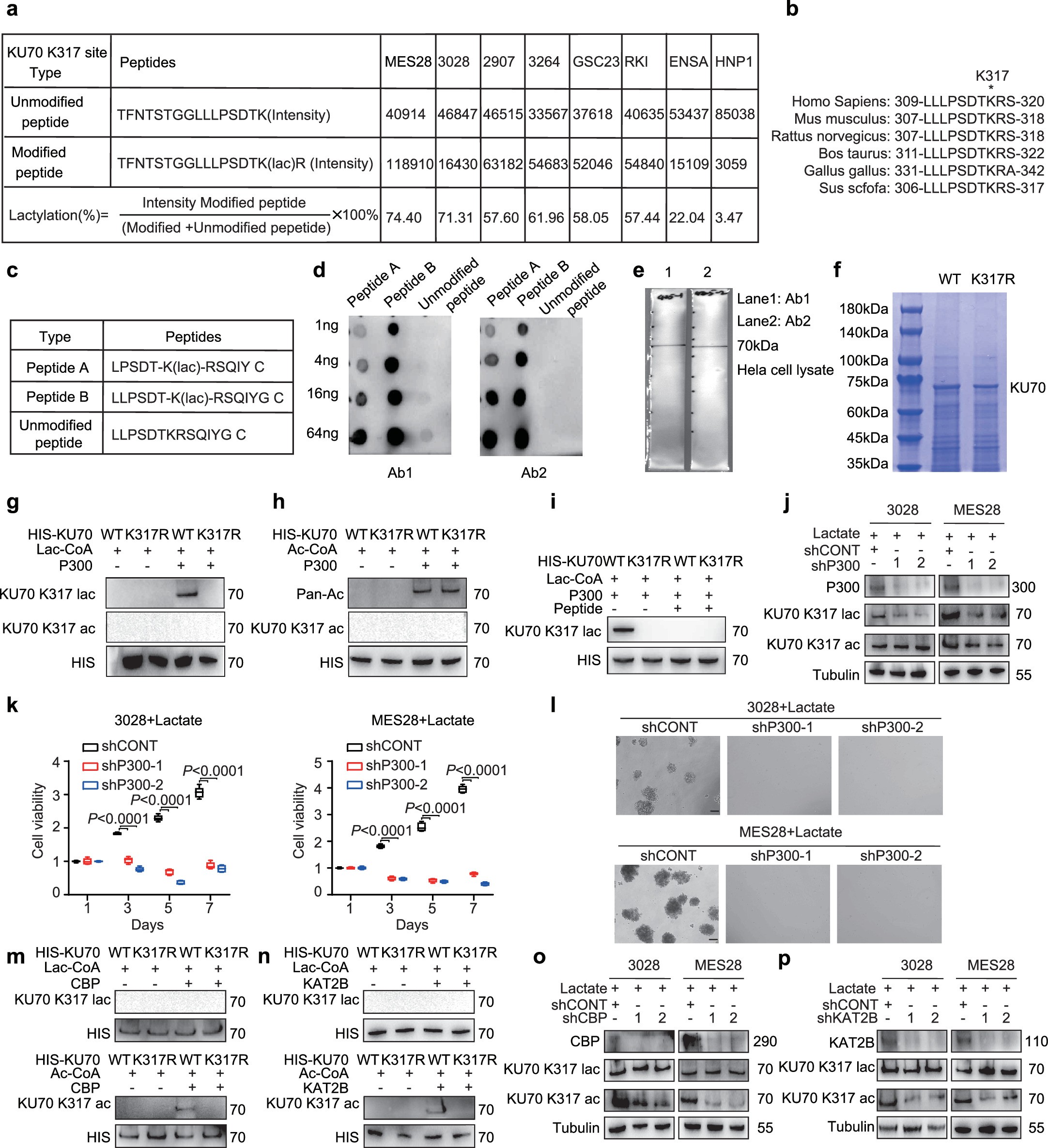 Extended Data Fig. 5