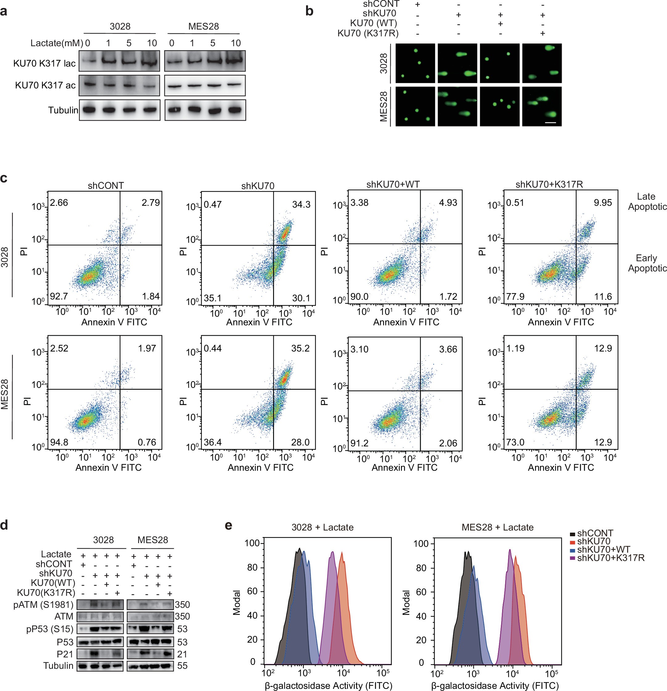 Extended Data Fig. 6