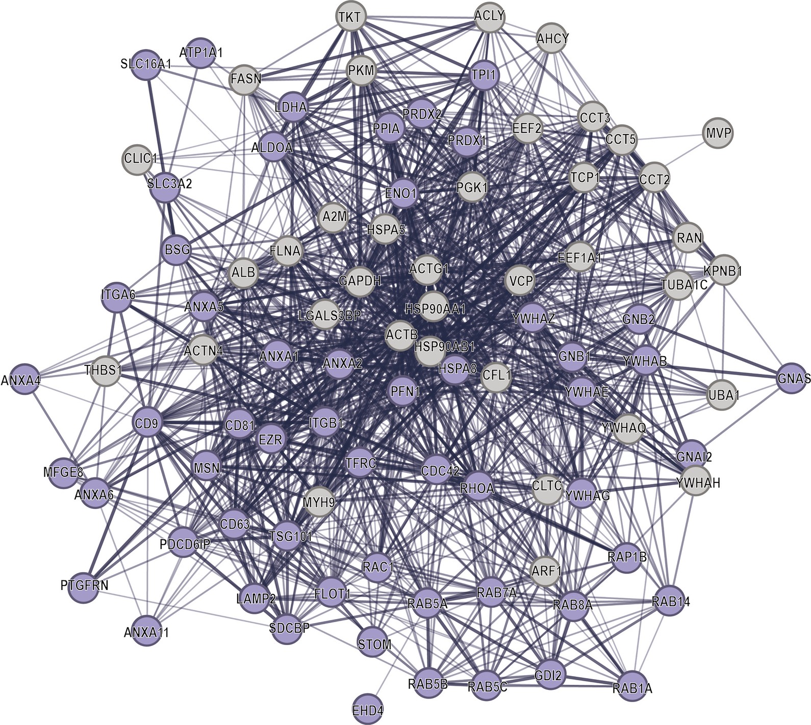 Extended Data Fig. 5