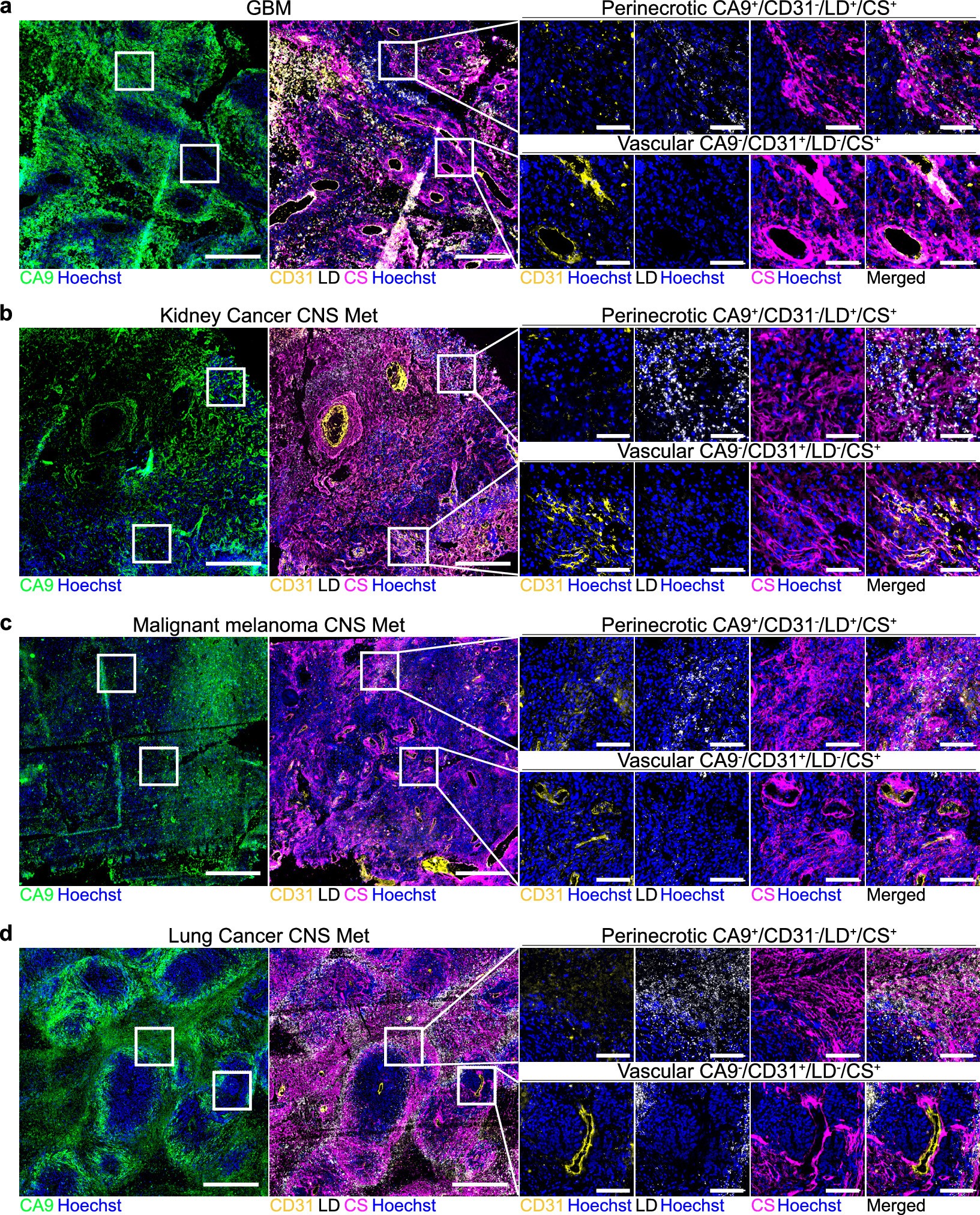 Extended Data Fig. 2