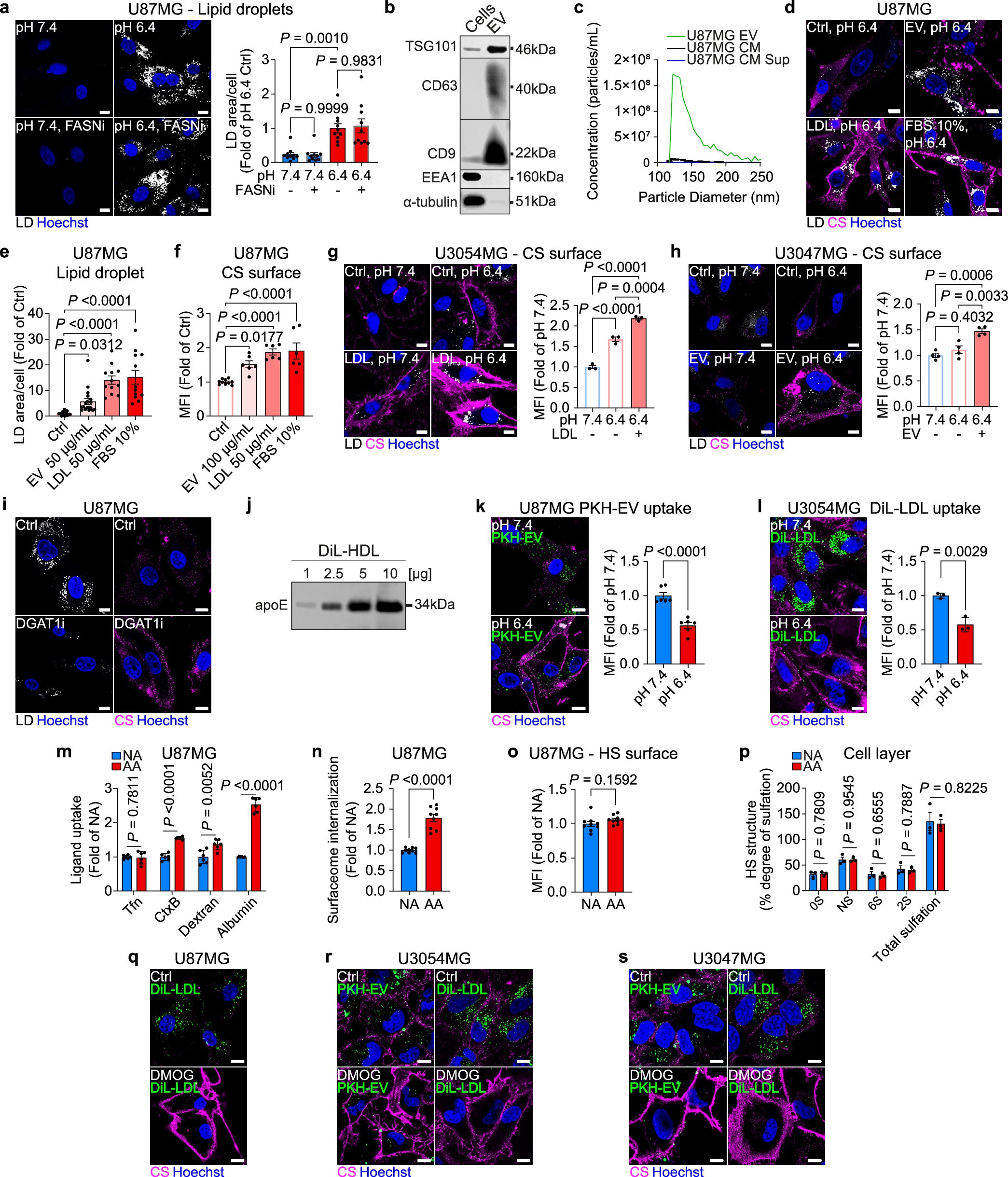 Extended Data Fig. 6