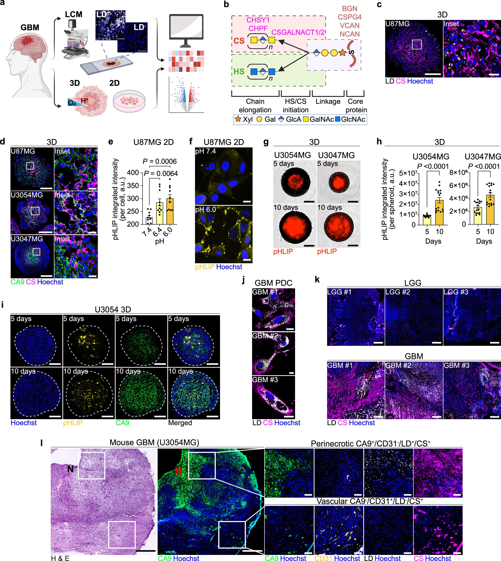 Extended Data Fig. 1
