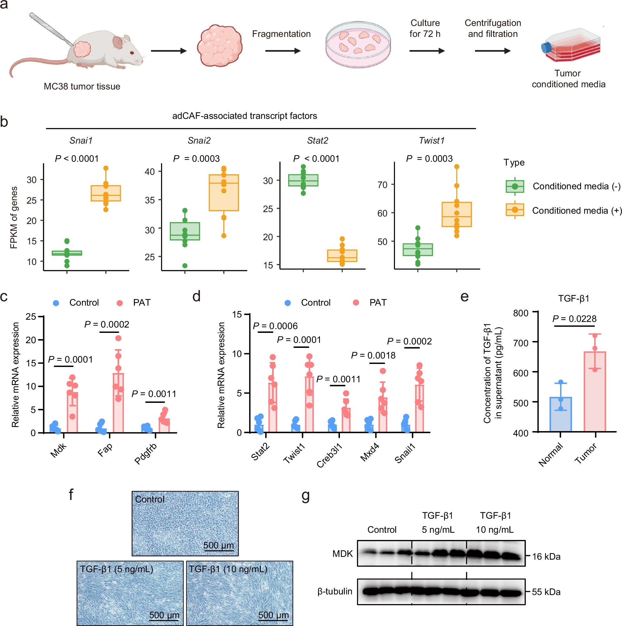 Extended Data Fig. 7: Tumour-derived factors induce APC to obtain adCAF characteristics.