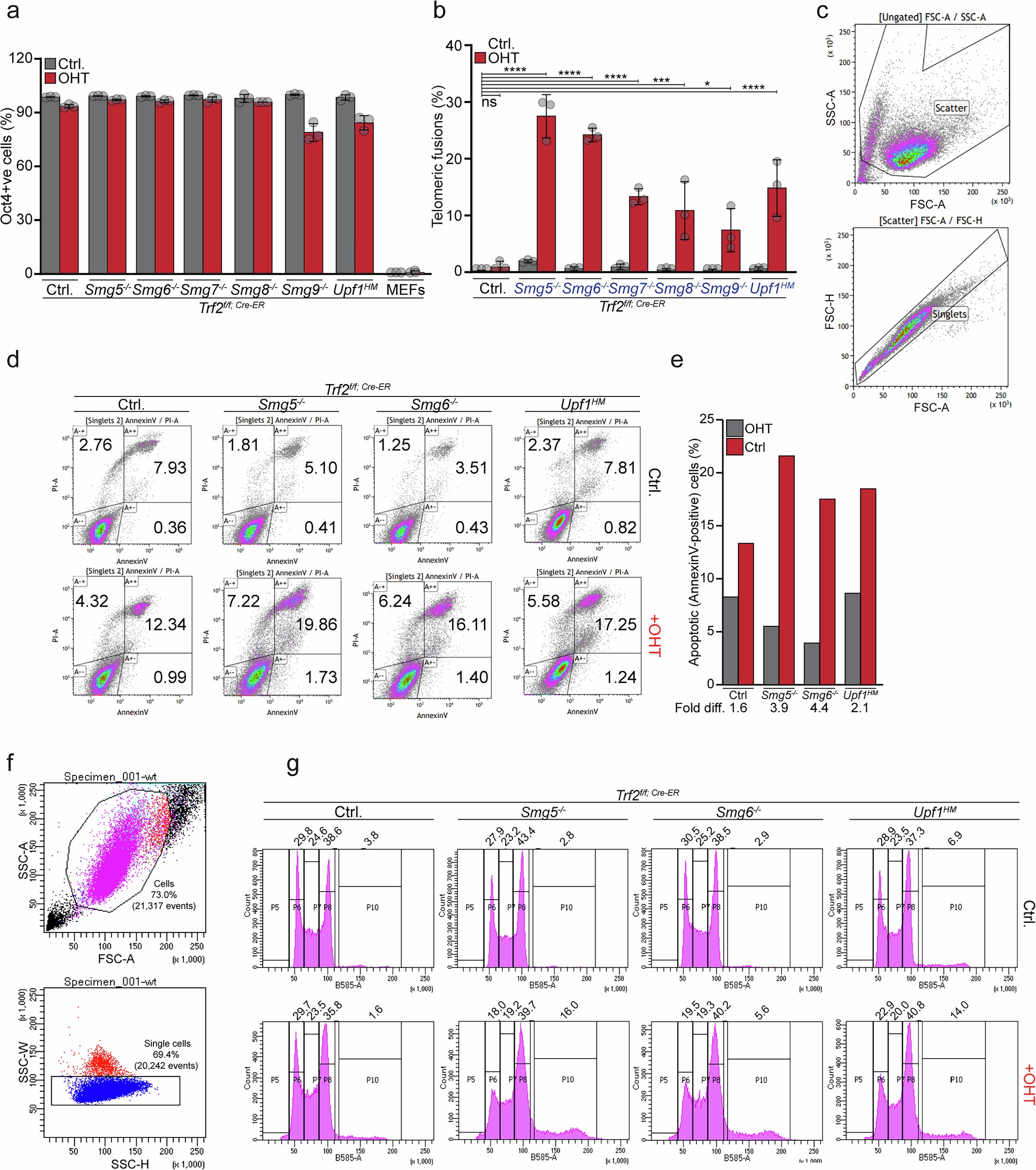 Extended Data Fig. 2: Increased end-to-end fusions in NMD-deficient Trf2−/− ESCs.
