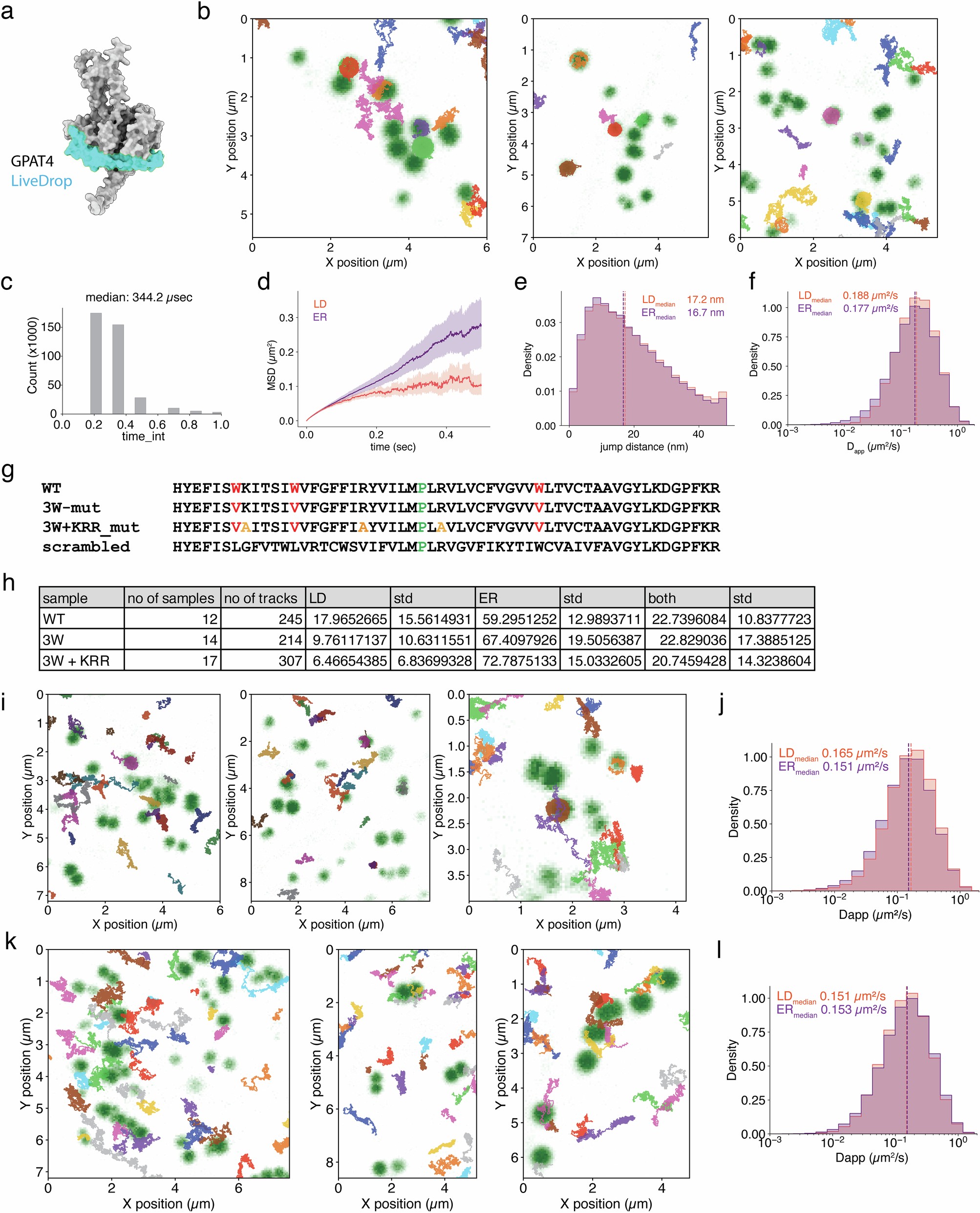 Extended Data Fig. 3: Molecular motion analysis of LiveDrop and mutant hairpins using MINFLUX nanoscopy.
