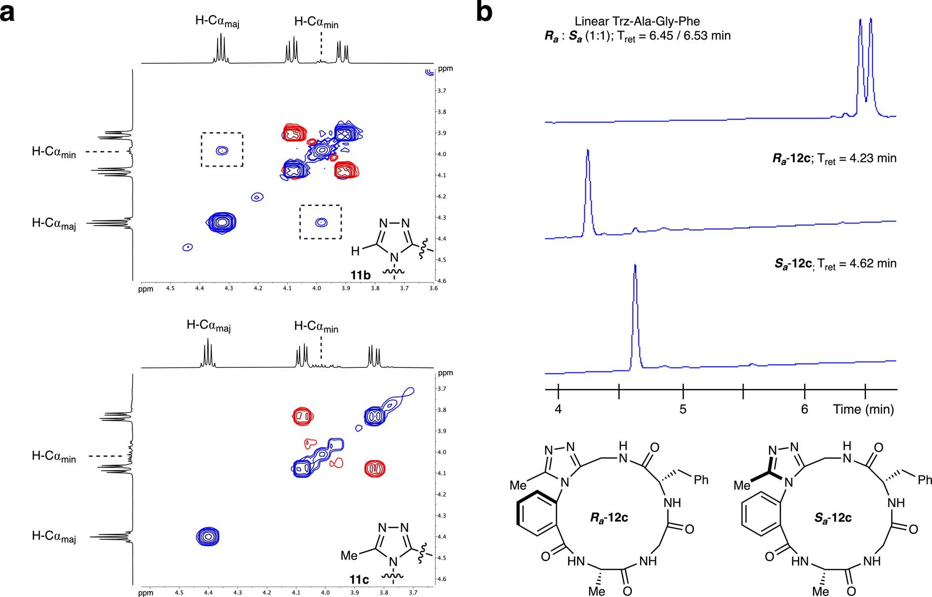 Extended Data Fig. 1: Characterization of dominant rotor-containing macrocyclic peptides.