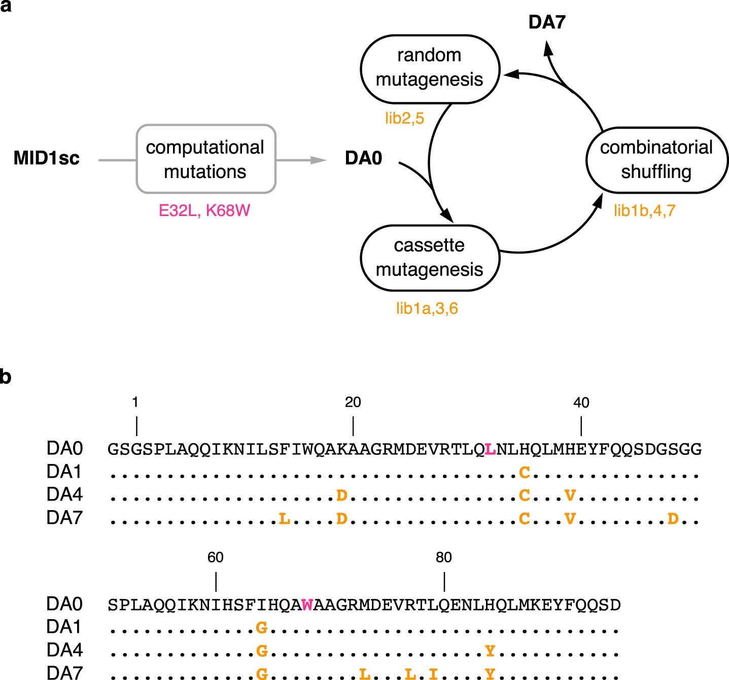 Extended Data Fig. 3: Directed evolution of DA7.