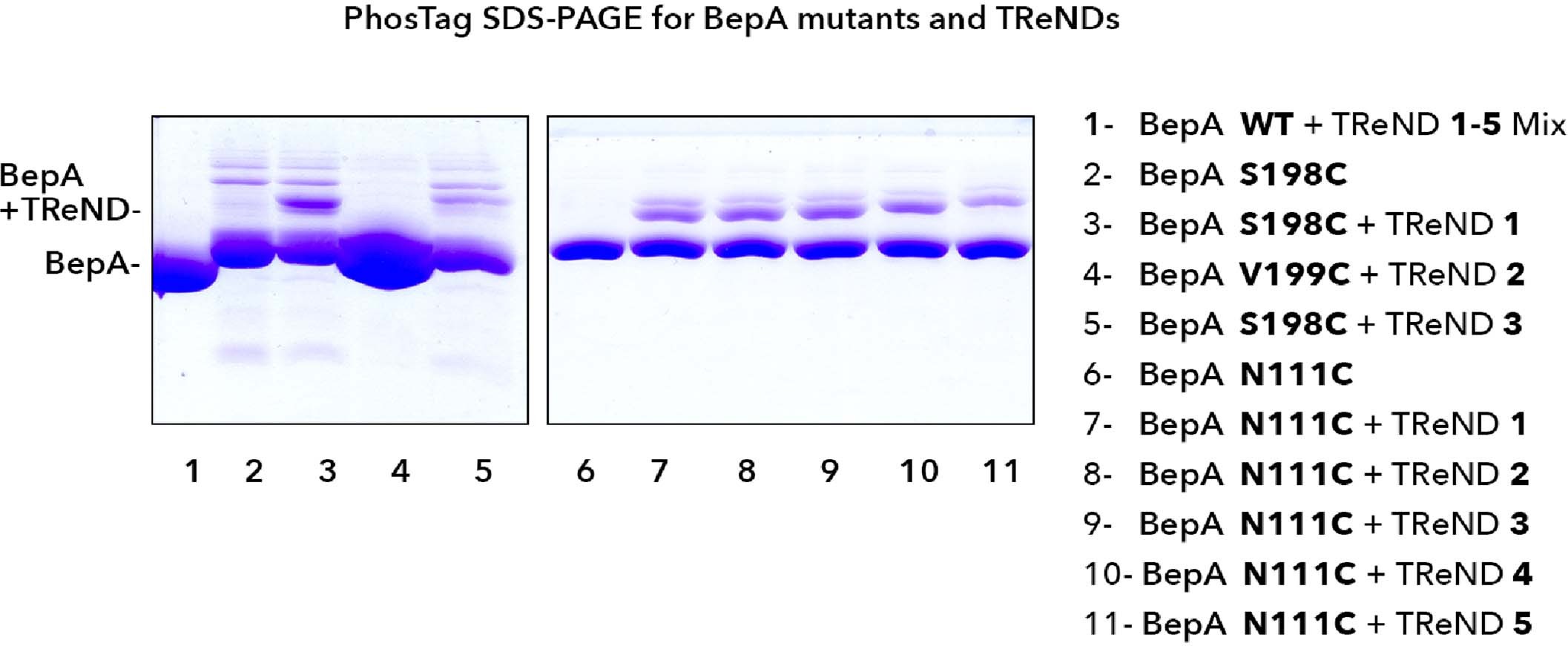 Extended Data Fig. 8