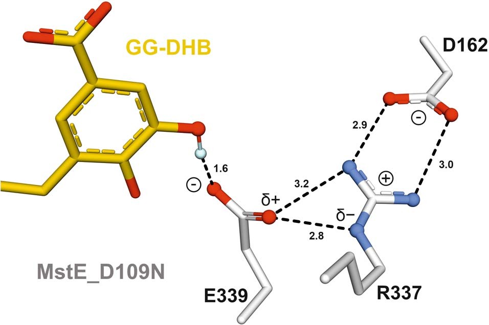 Extended Data Fig. 5