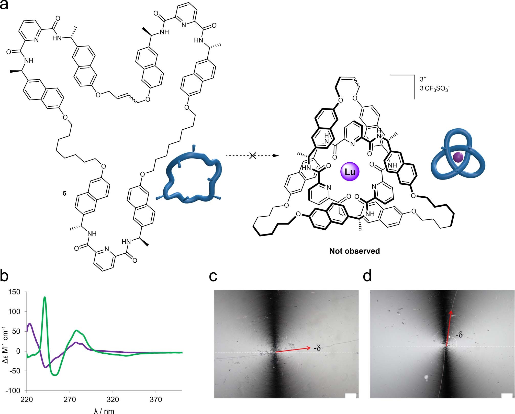 Extended Data Fig. 2