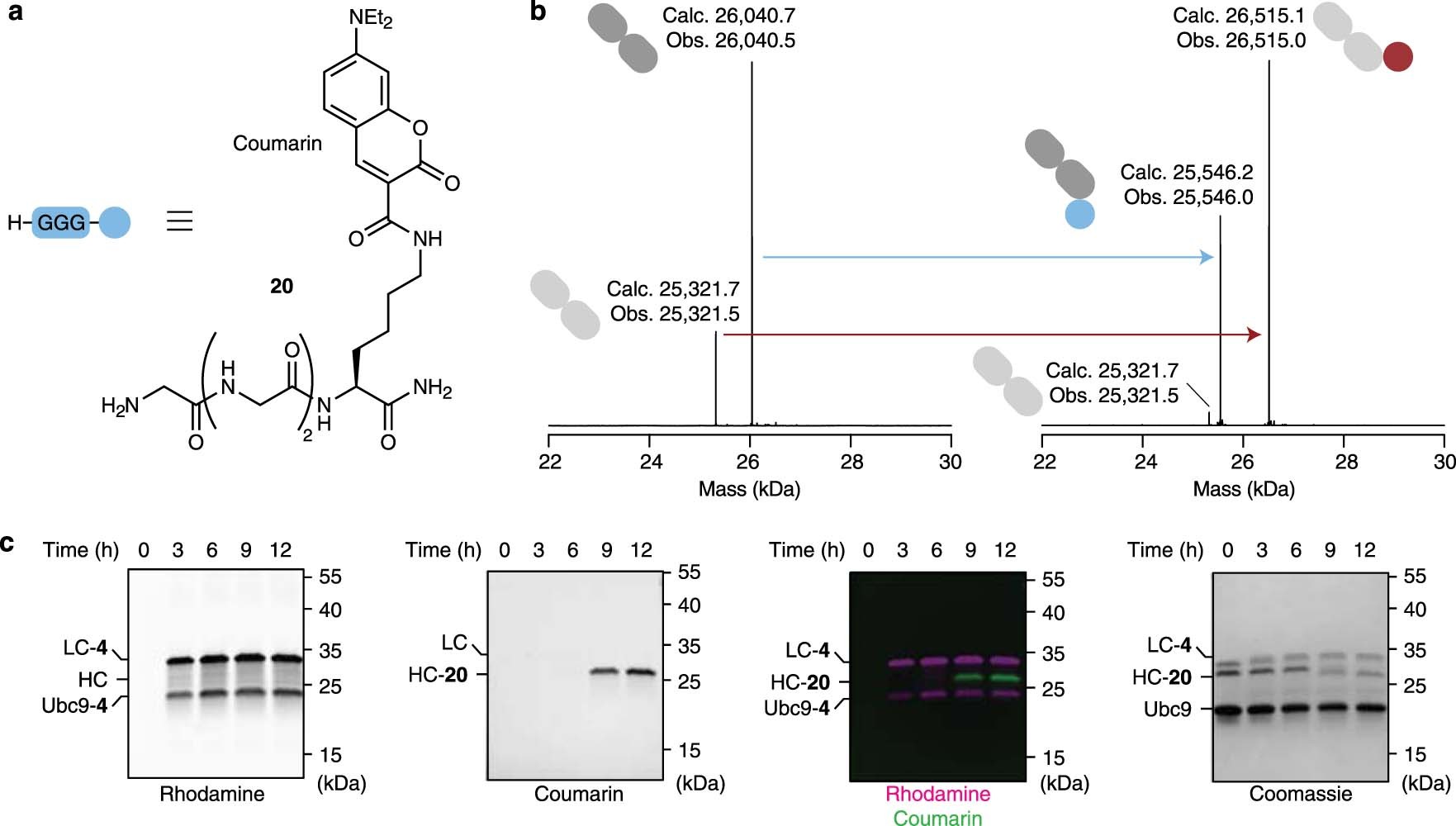 Extended Data Fig. 3
