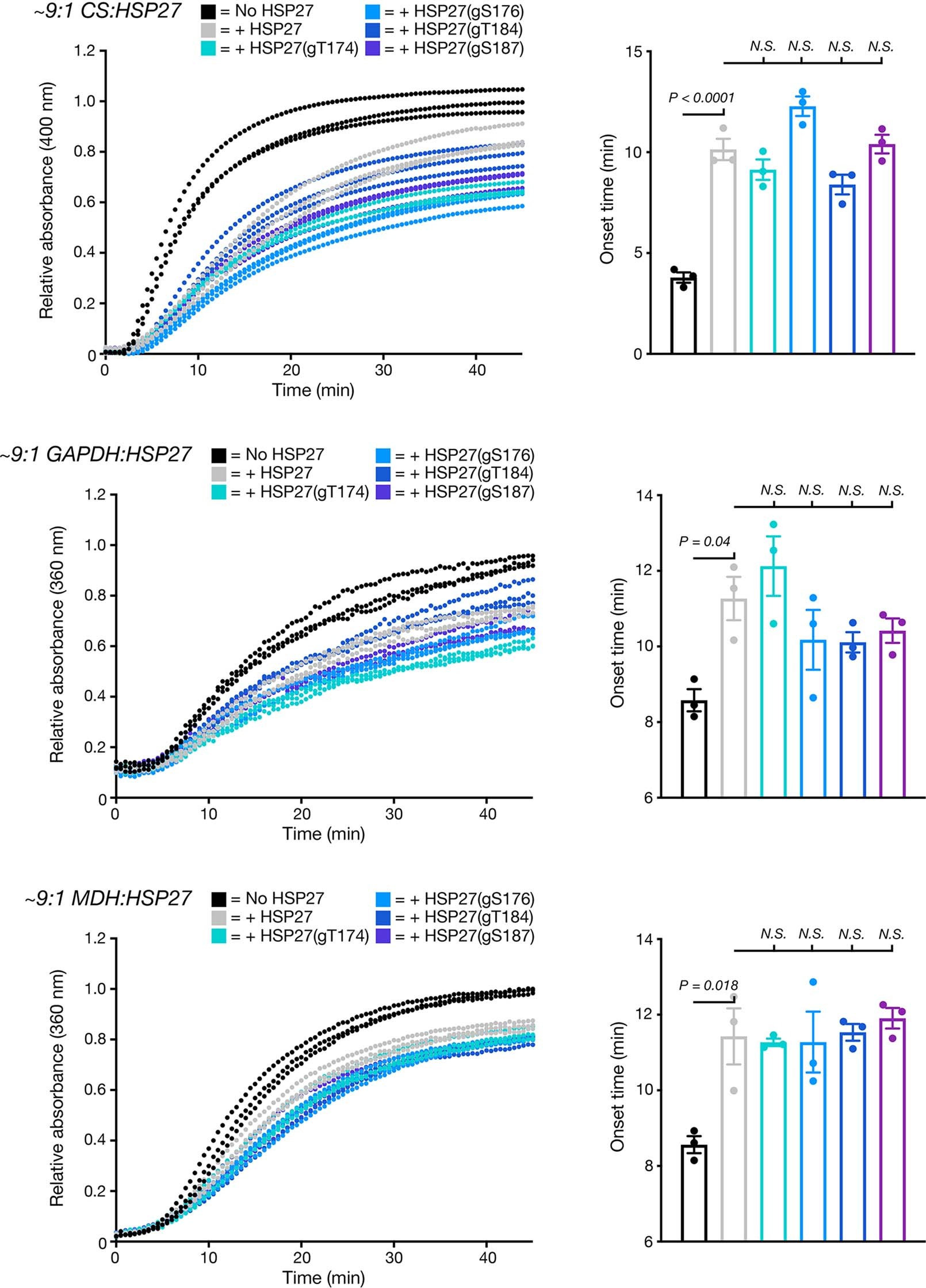 Extended Data Fig. 10: O-GlcNAc does not improve the chaperone activity of HSP27 against amorphous aggregation proteins.