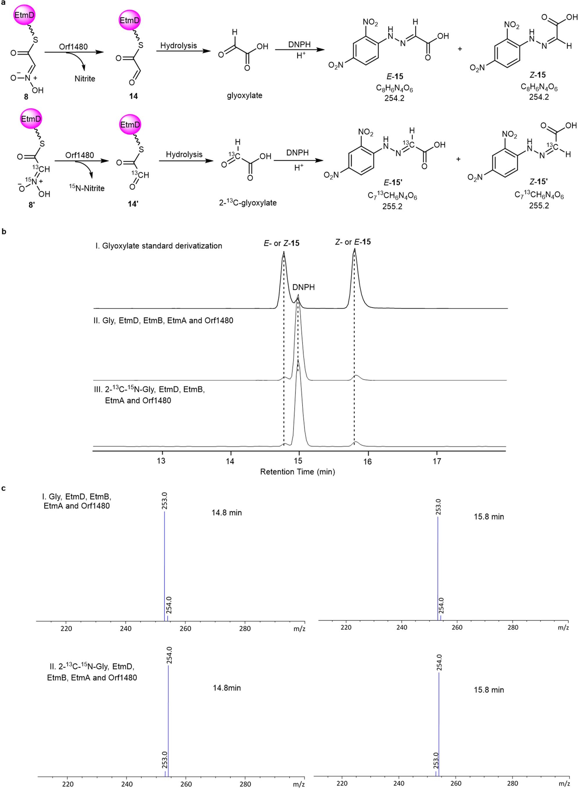 Extended Data Fig. 6