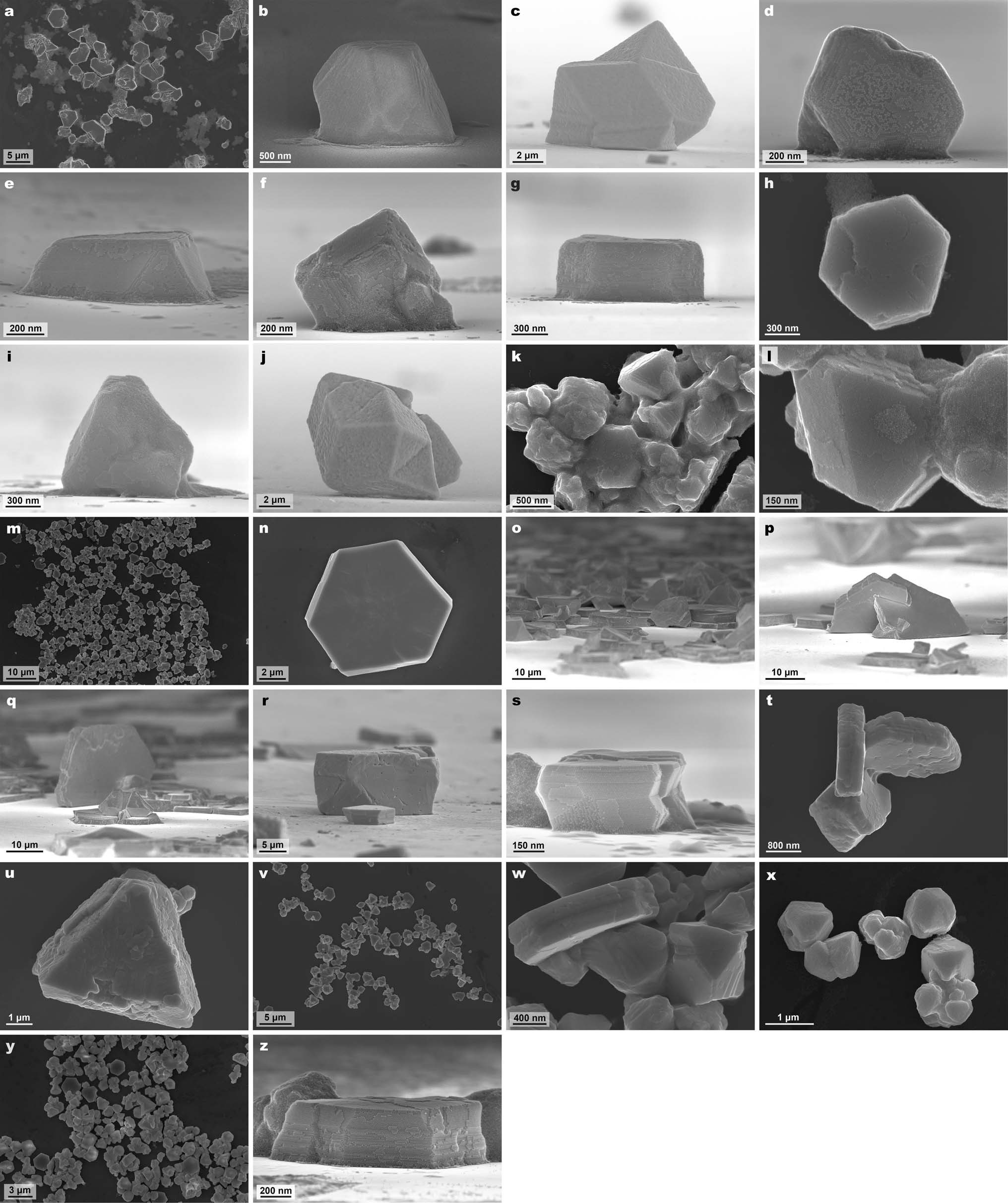 Extended Data Fig. 2