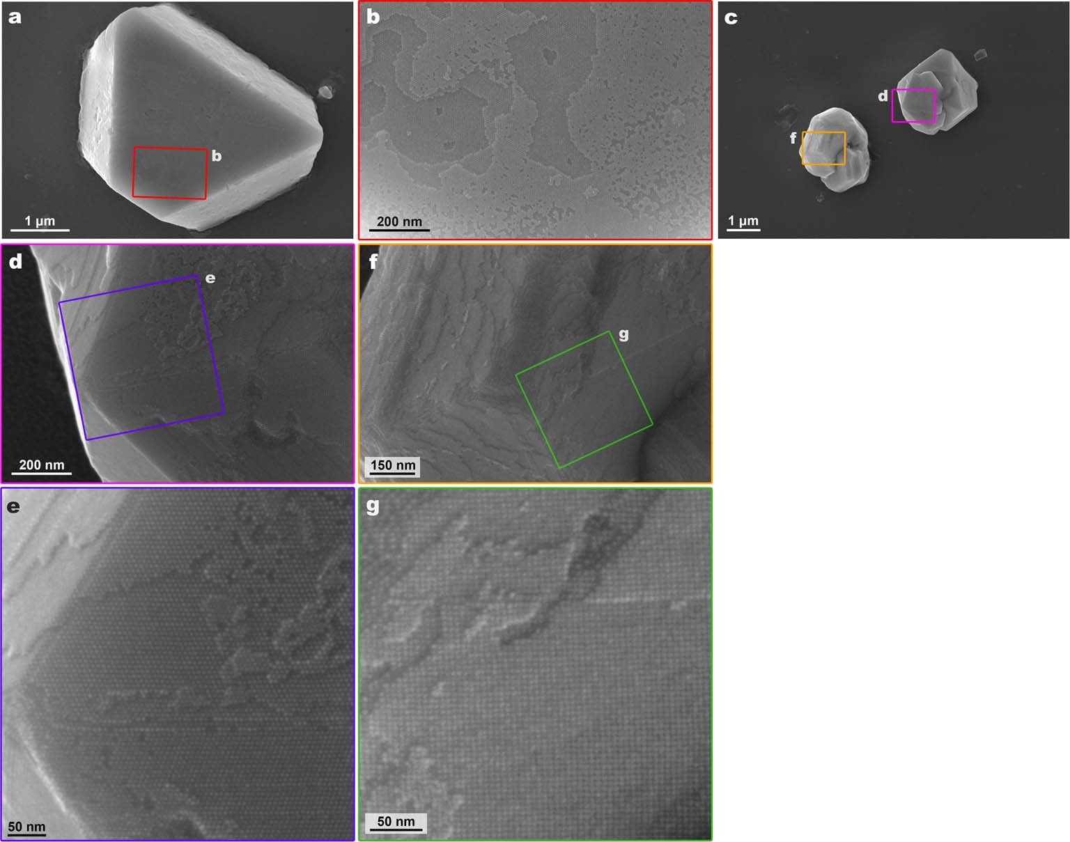 Extended Data Fig. 3