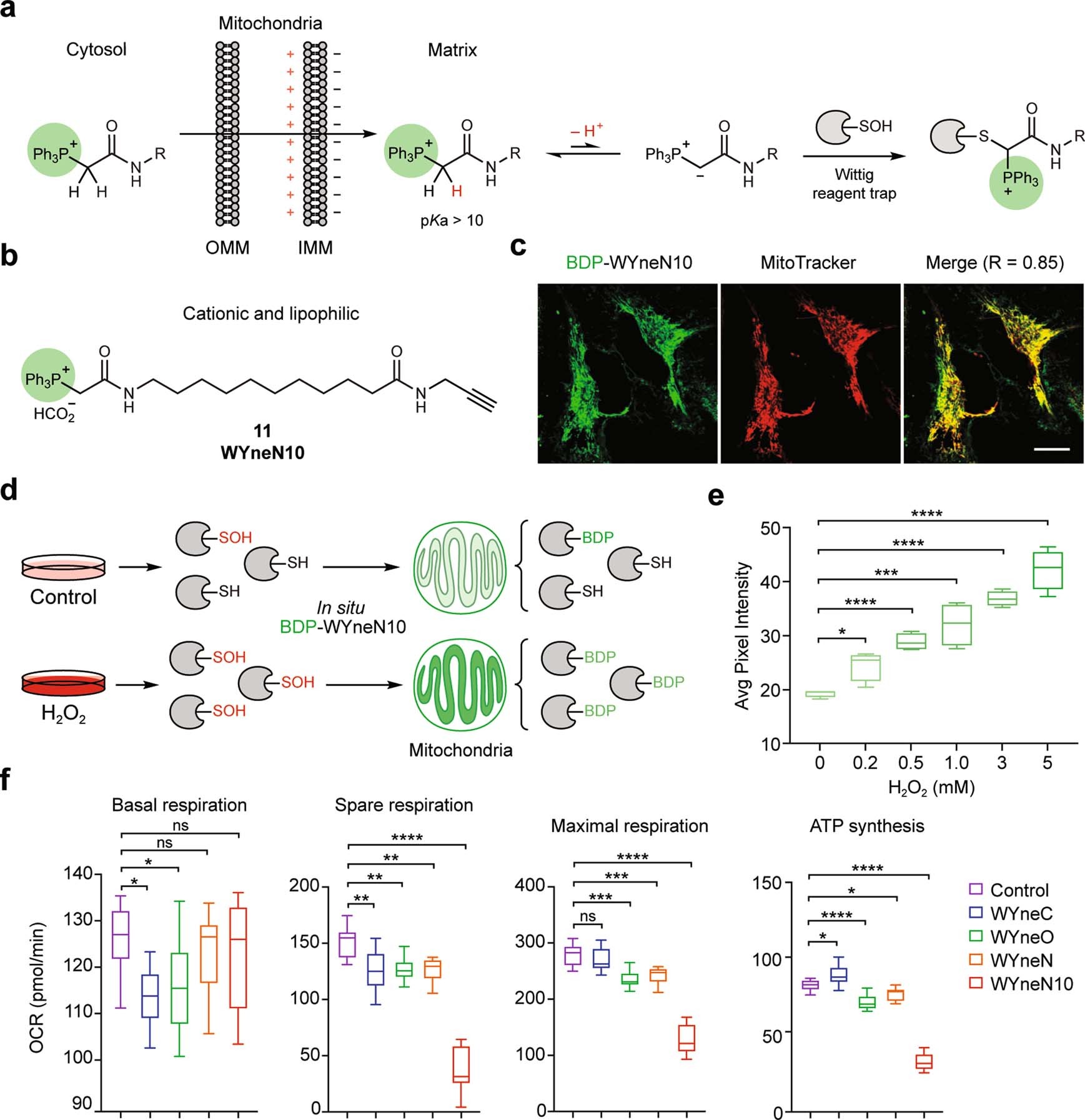 Extended Data Fig. 2