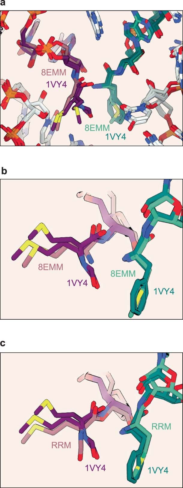 Extended Data Fig. 4