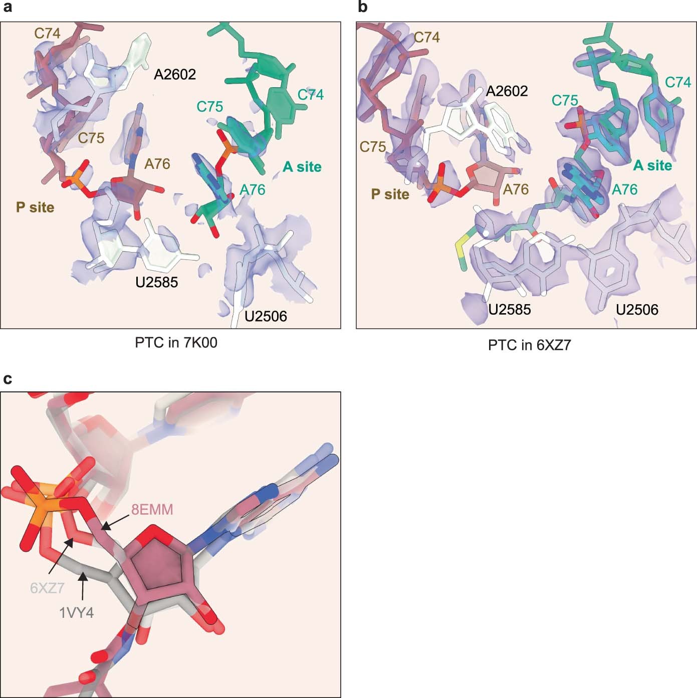 Extended Data Fig. 1