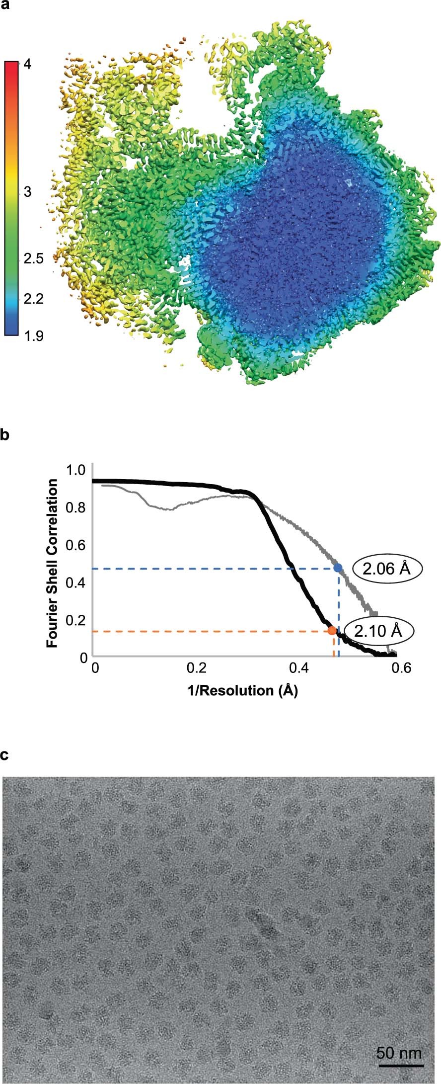Extended Data Fig. 2