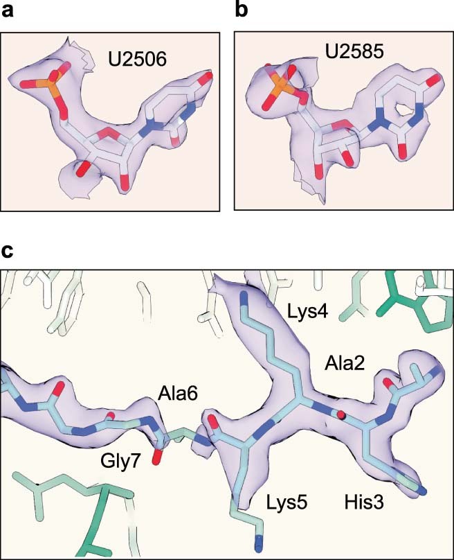 Extended Data Fig. 3
