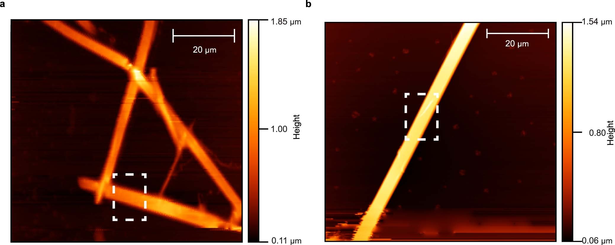 Extended Data Fig. 1