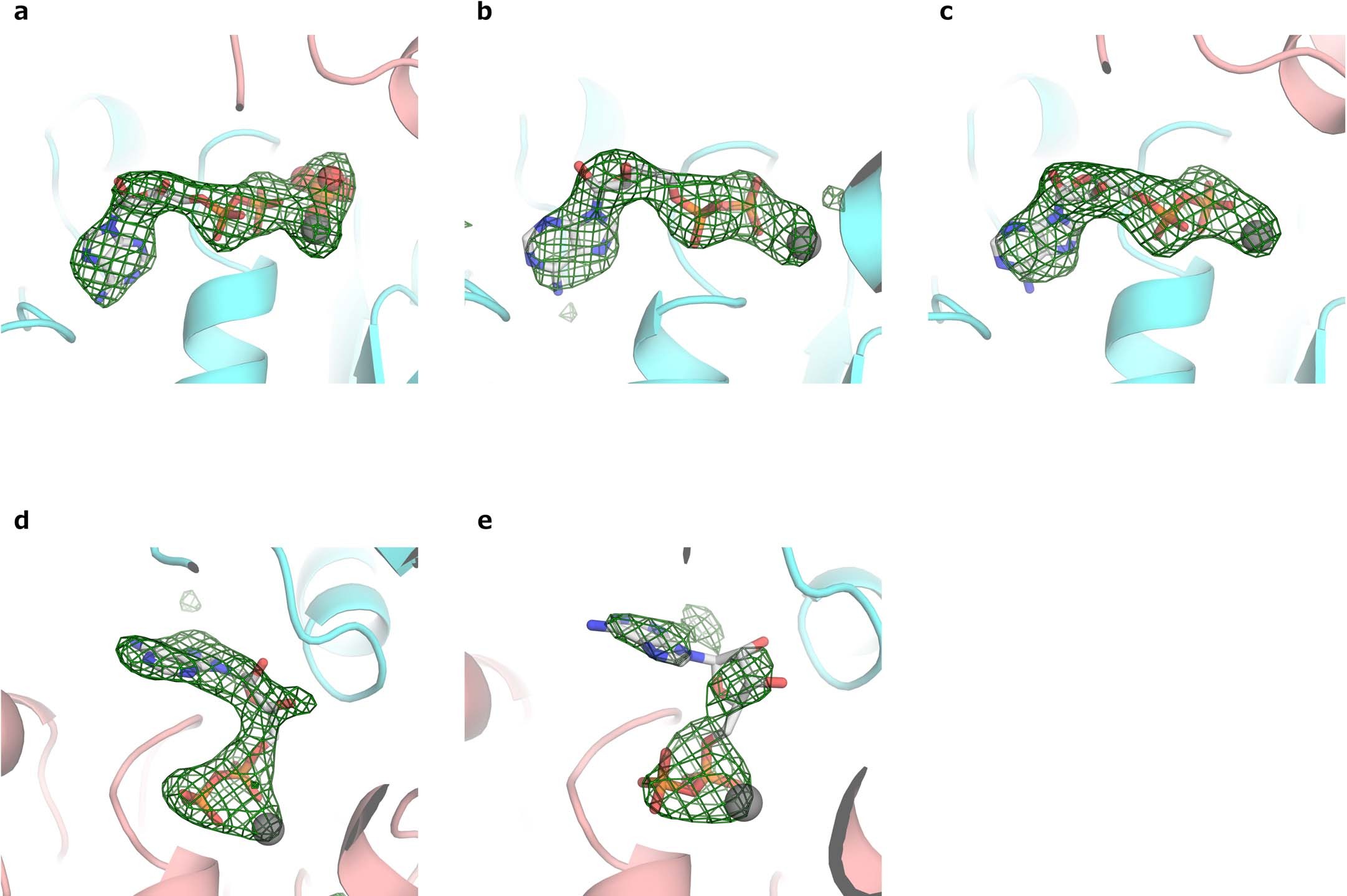 Extended Data Fig. 1