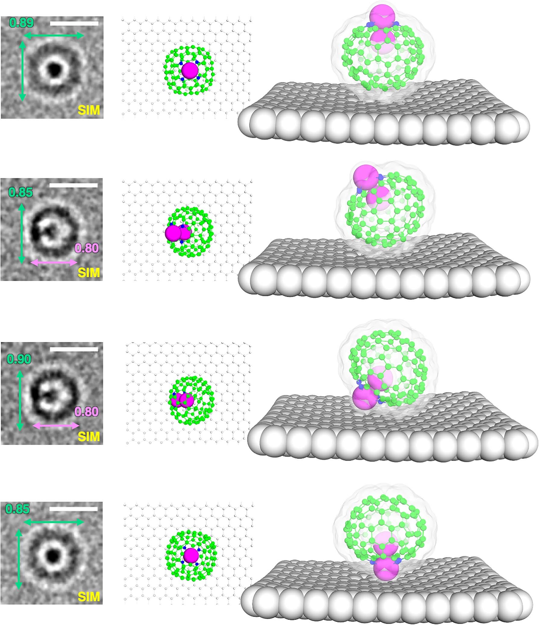 Extended Data Fig. 6