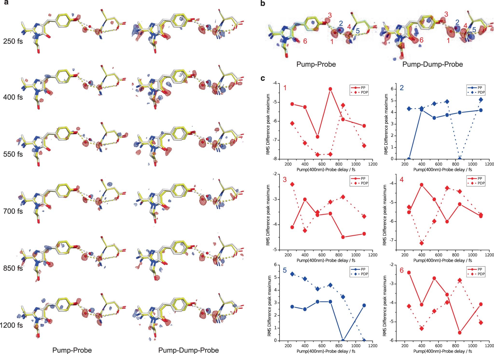 Extended Data Fig. 5: Comparison of the PP vs PDP TR-SFX light induced differences in the rsKiiro chromophore region.