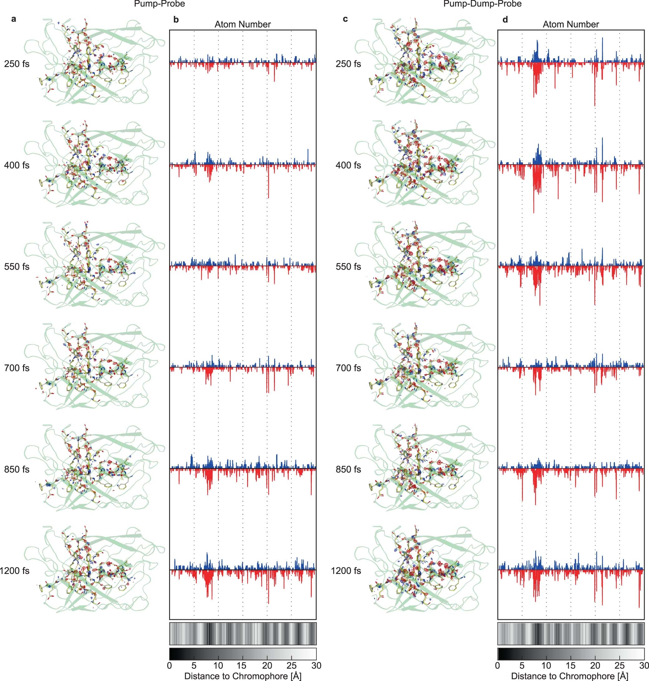 Extended Data Fig. 6: Comparison of rsKiiro TR-SFX Pump-Probe vs Pump-Dump-Probe difference maps.