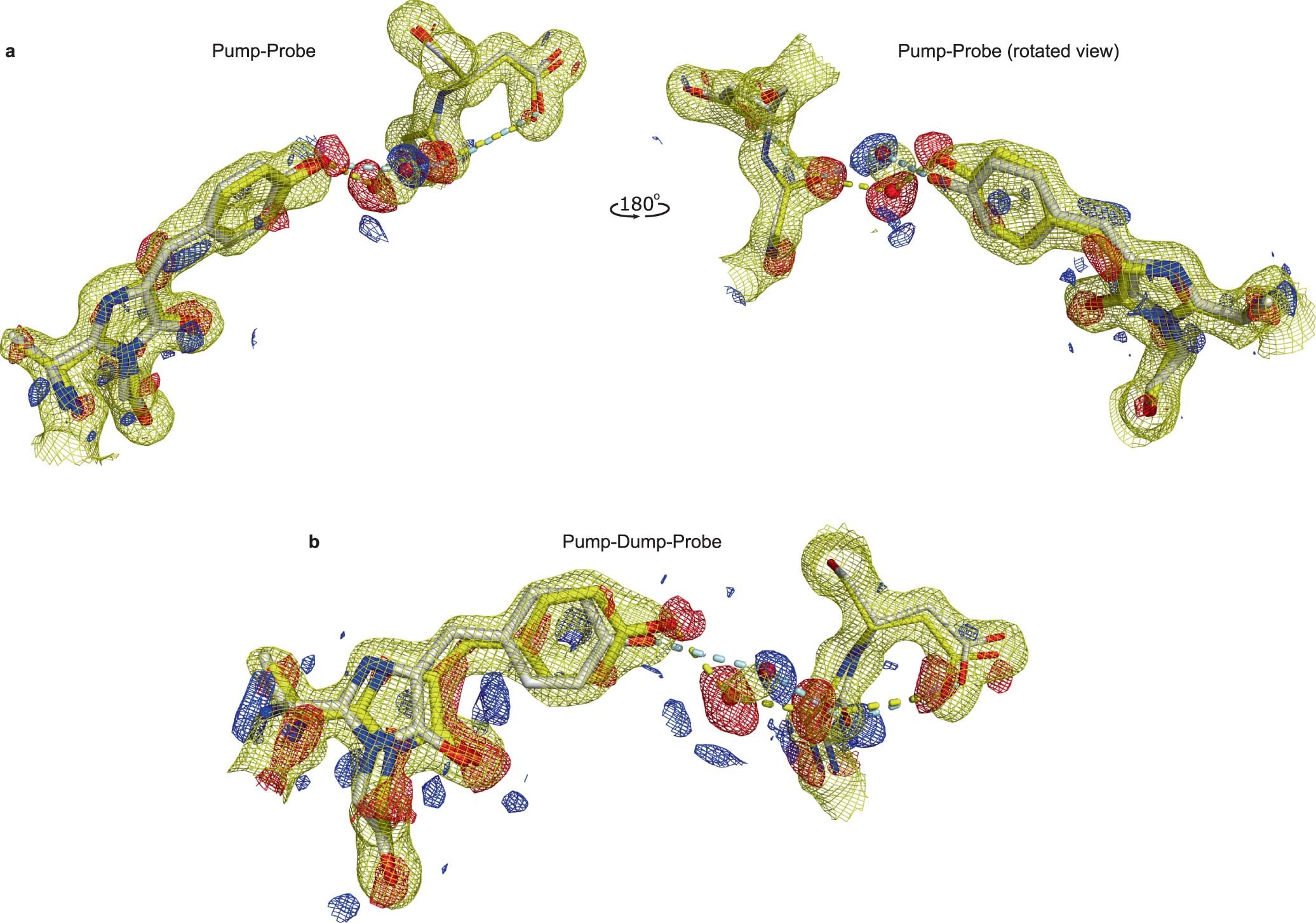 Extended Data Fig. 7: Extrapolated maps and difference maps of merged 0-1 ps TR-SFX of rsKiiro with refined coordinates.
