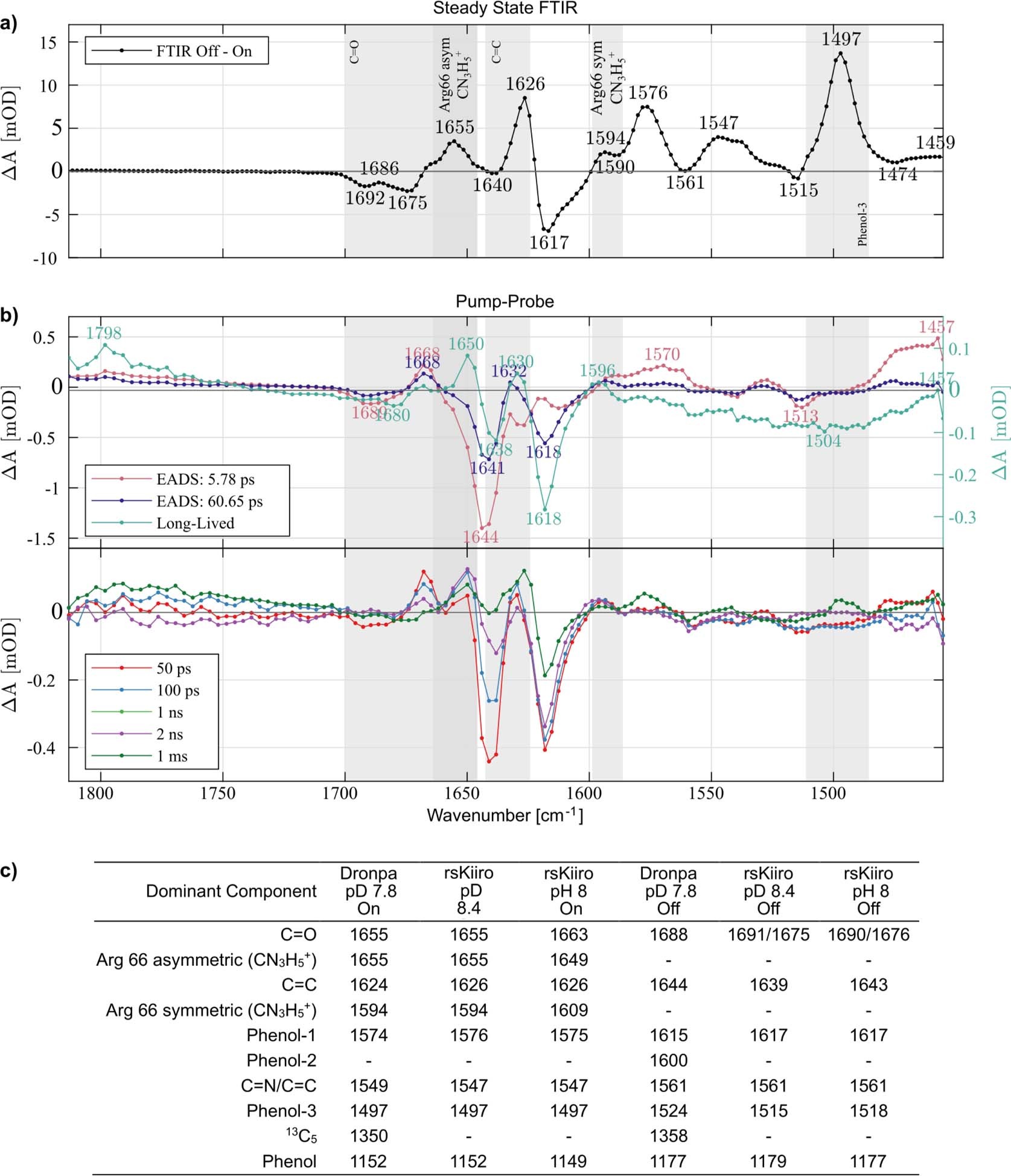 Extended Data Fig. 4: Femtosecond time resolved Infrared and FTIR spectroscopy of rsKiiro.