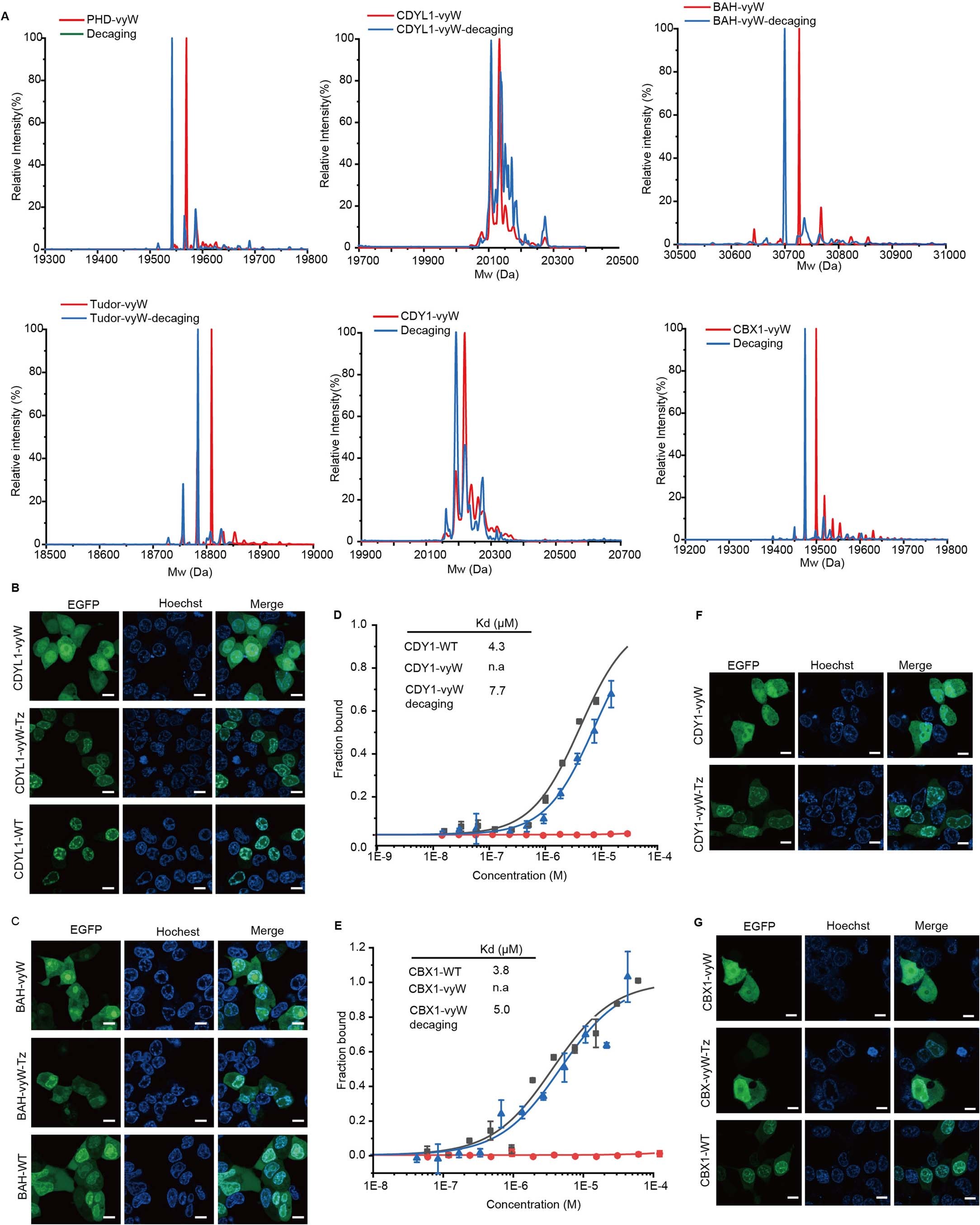 Extended Data Fig. 6