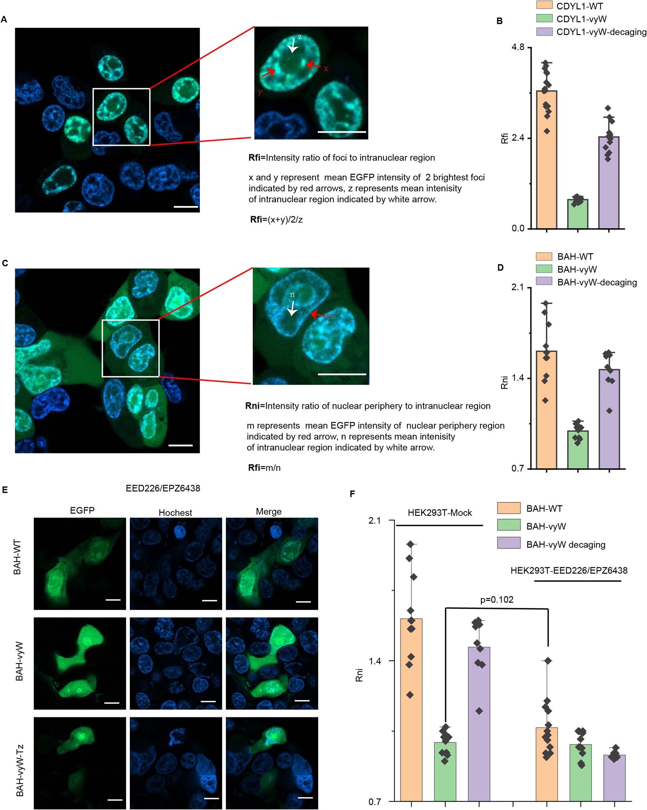 Extended Data Fig. 7