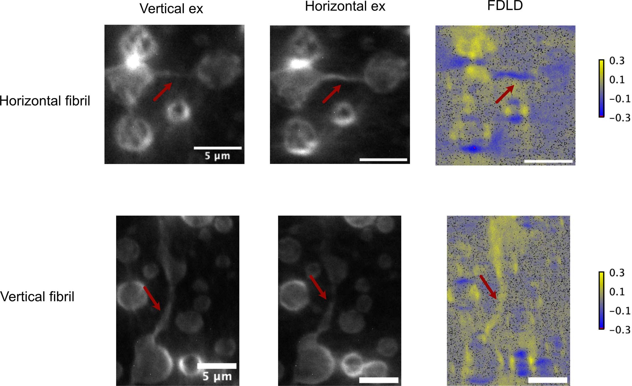 Extended Data Fig. 1