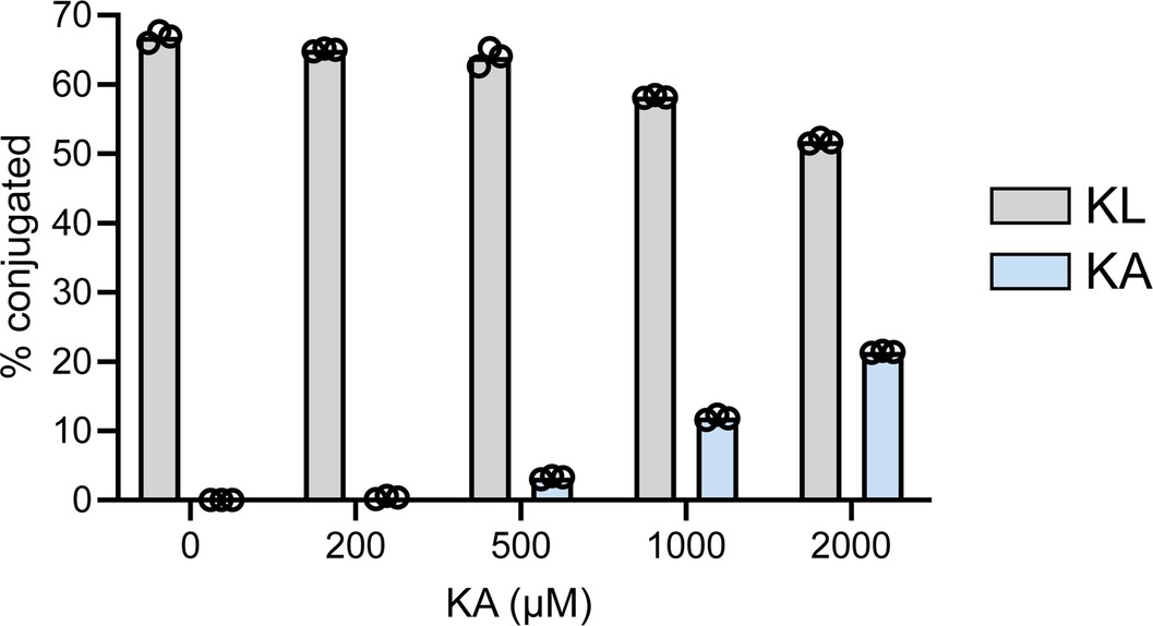Extended Data Fig. 3: Isopeptide ligation on a Lys-Leu peptide in the presence of increasing Lys-Ala peptide concentrations.