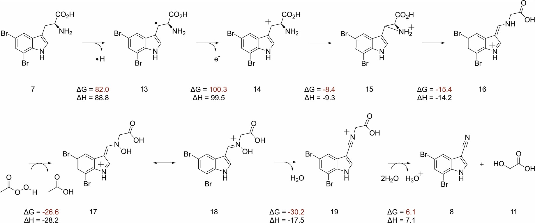 Extended Data Fig. 10: Density functional theory (DFT) calculations showing enthalpies and free energies associated with the individual steps in the proposed mechanism.