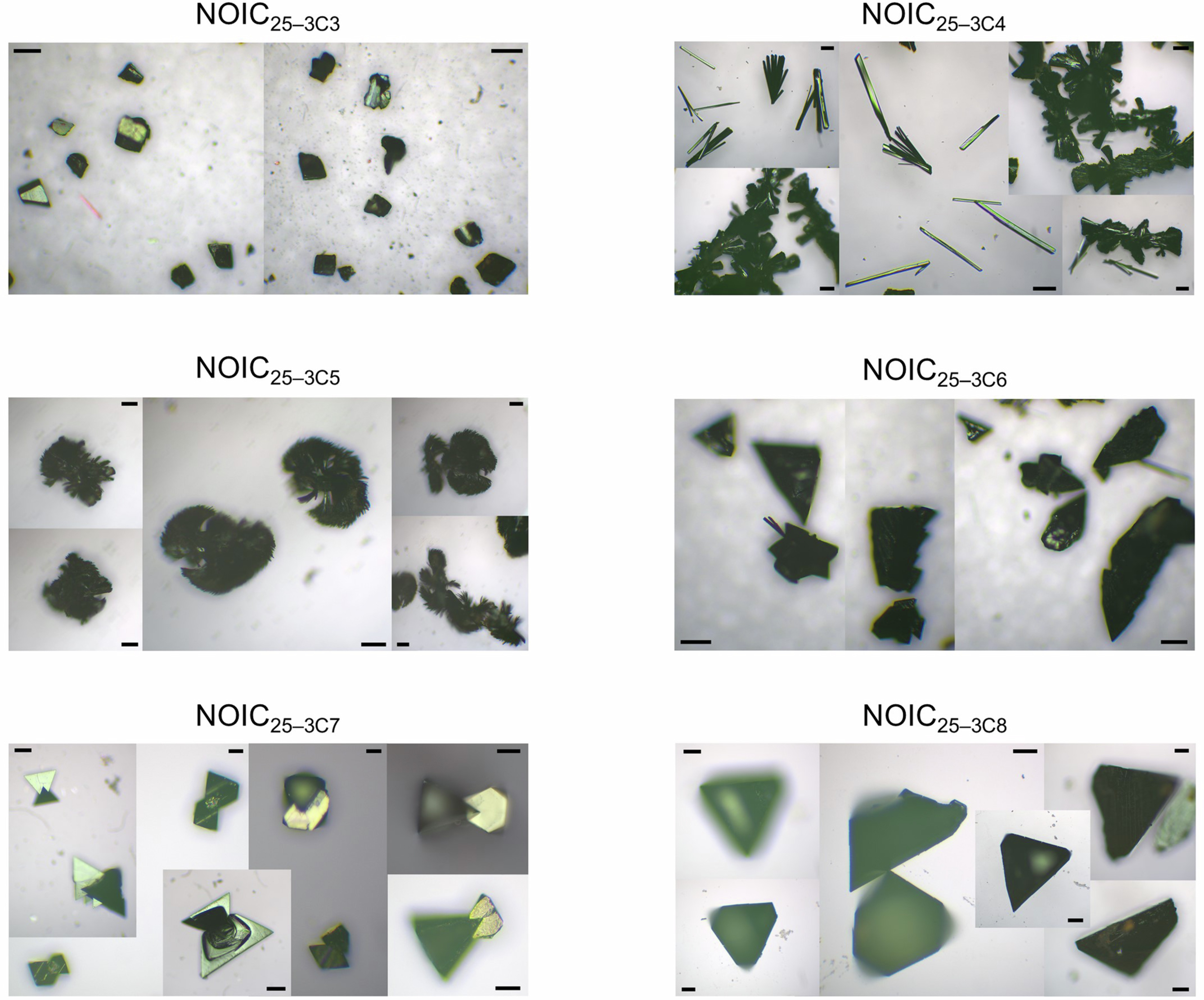 Extended Data Fig. 2: Representative optical images of NOIC25−3Cm (m = 3–8).