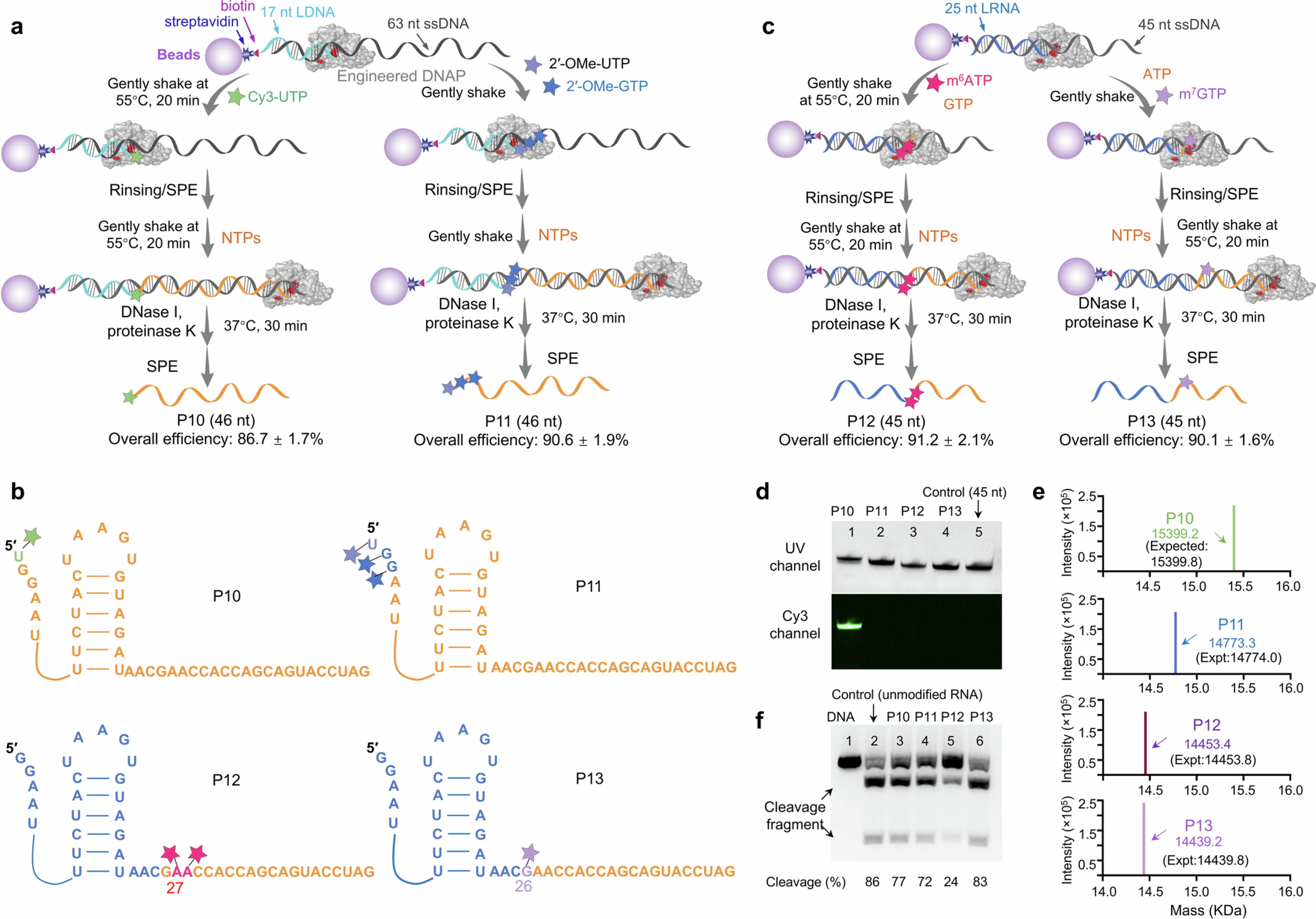 Extended Data Fig. 1