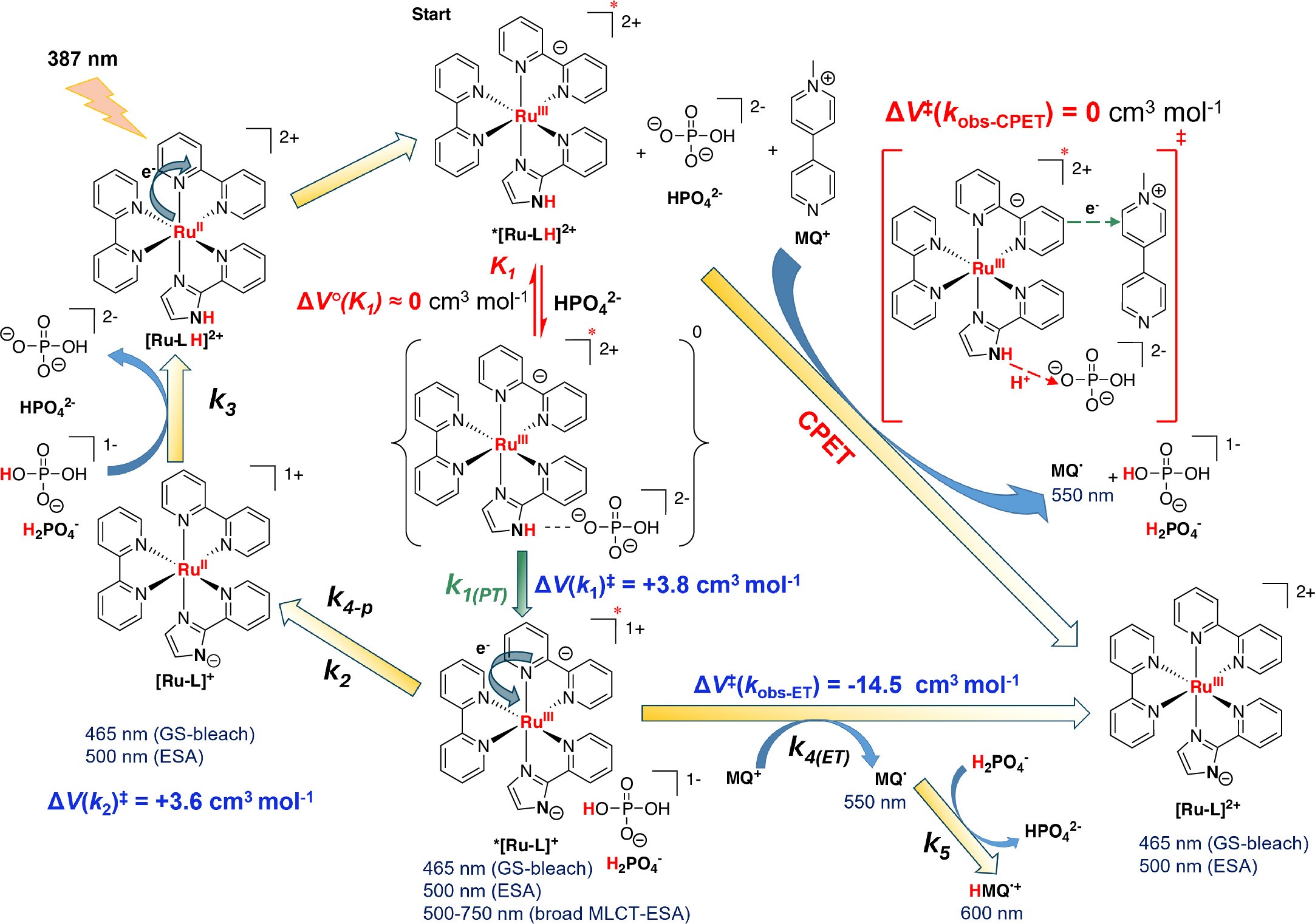 Extended Data Fig. 1: Mechanistic scheme depicting structural formulas of reaction intermediates, with their oxidation and protonation states.