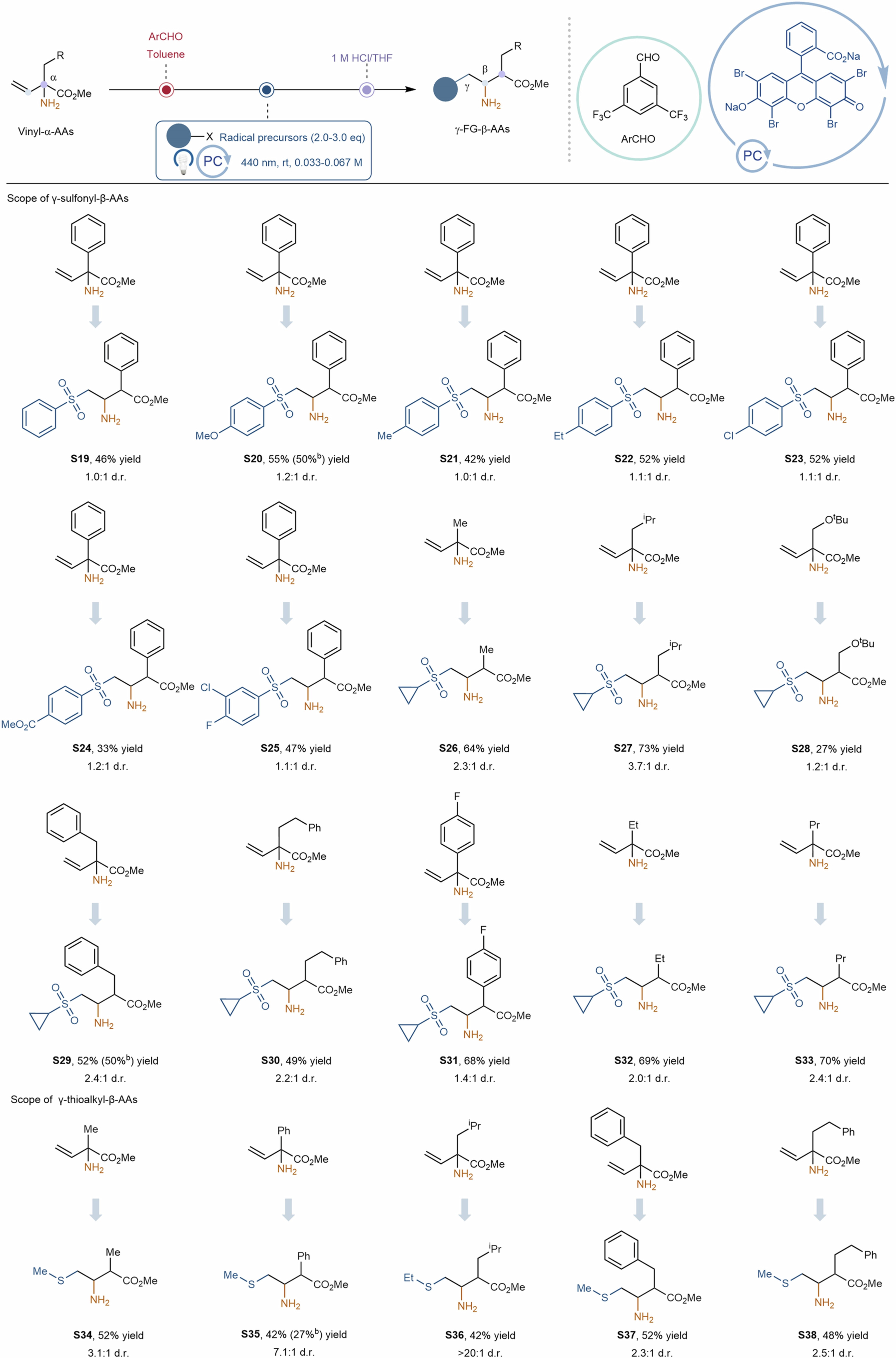 Extended Data Fig. 2: Additional examples of γ-sulfonyl-β-AAs and γ-thioalkyl-β-AAs.