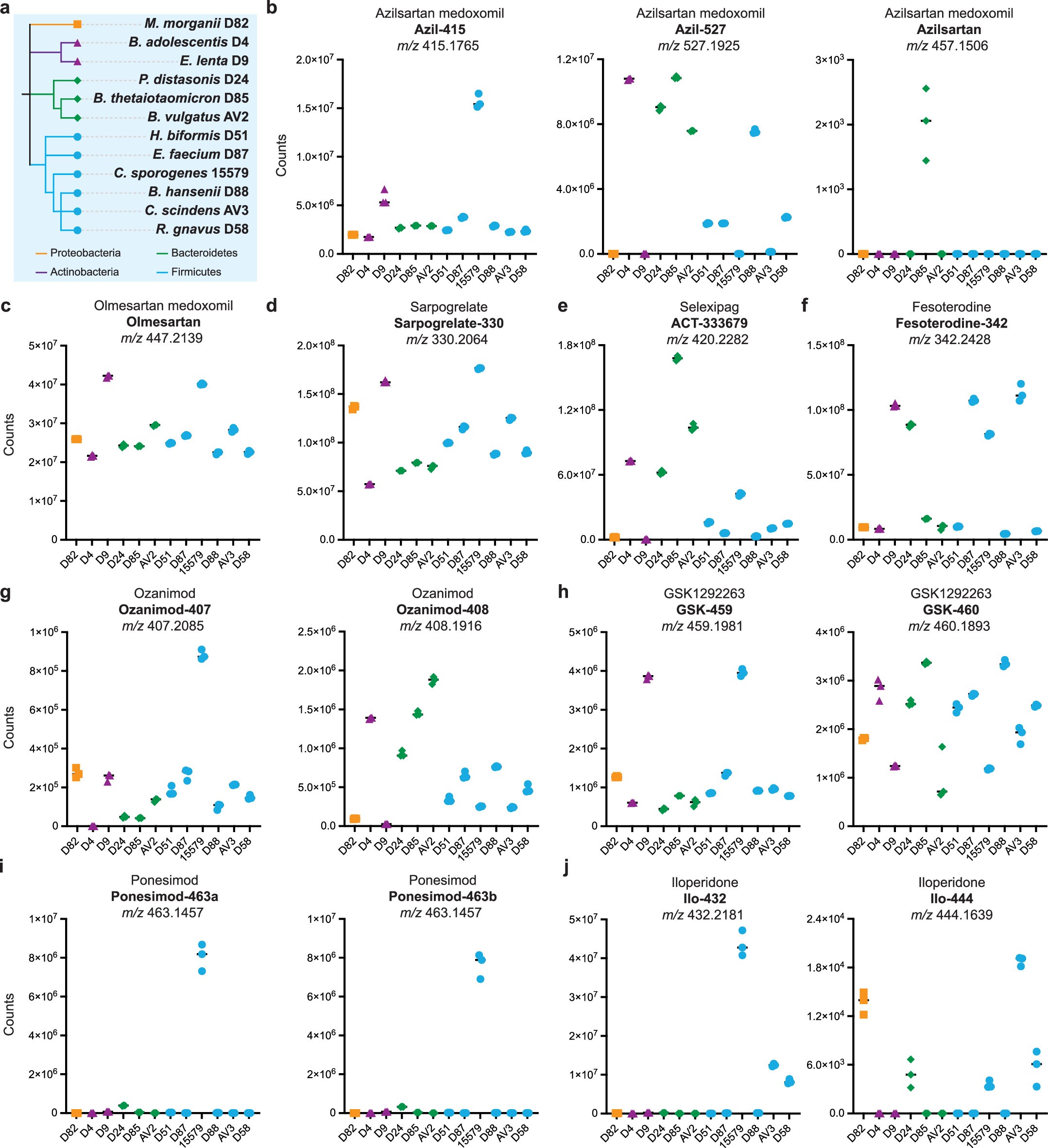 Extended Data Fig. 6: Mapping drug metabolism by individual bacterial species.