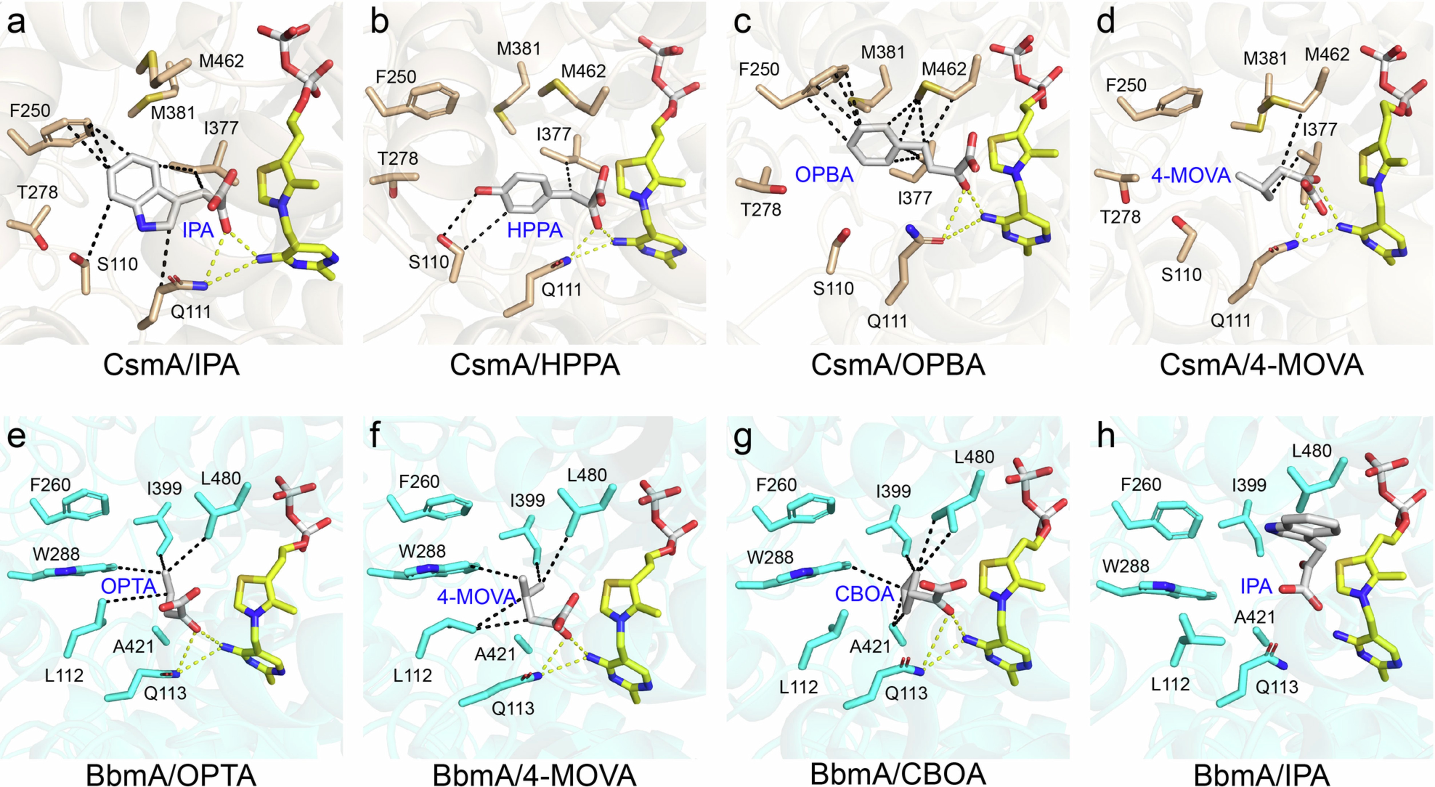 Extended Data Fig. 7