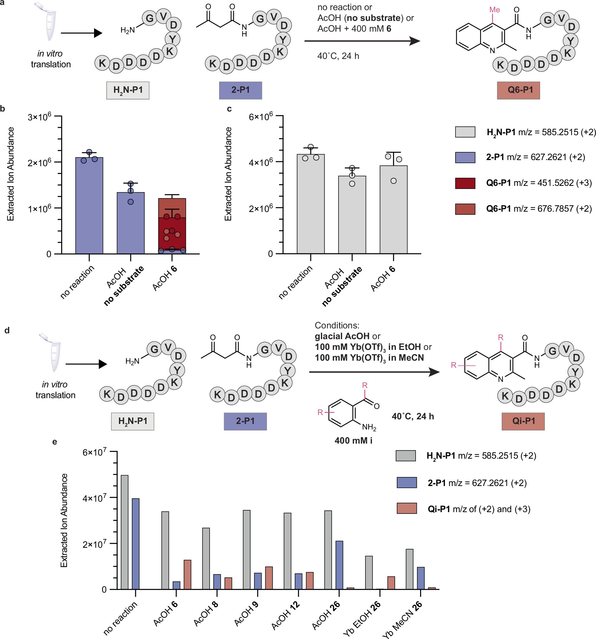 Extended Data Fig. 4: Peptide stability and conversion in various Friedländer conditions.